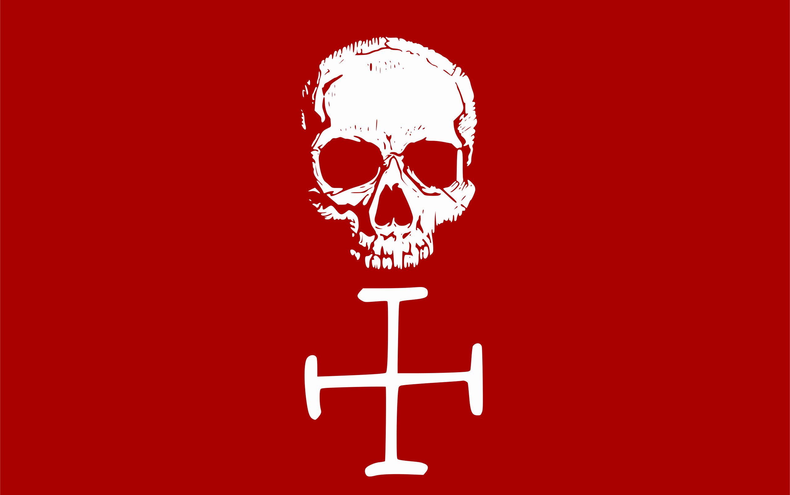 Pirates Flag Skull And Bones 2560x1604
