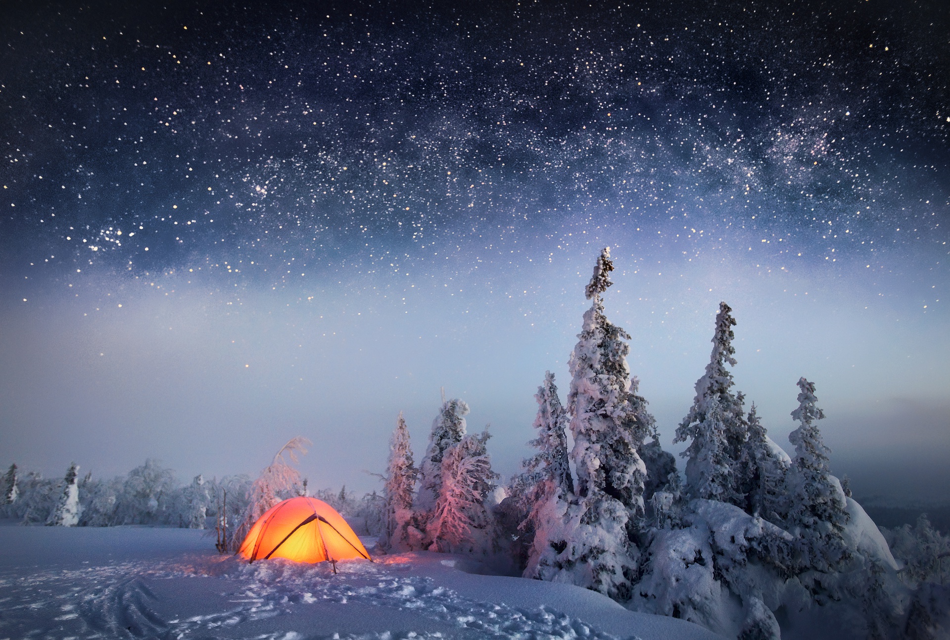 Nature Winter Snow Night Tree Sky Stars 1920x1294
