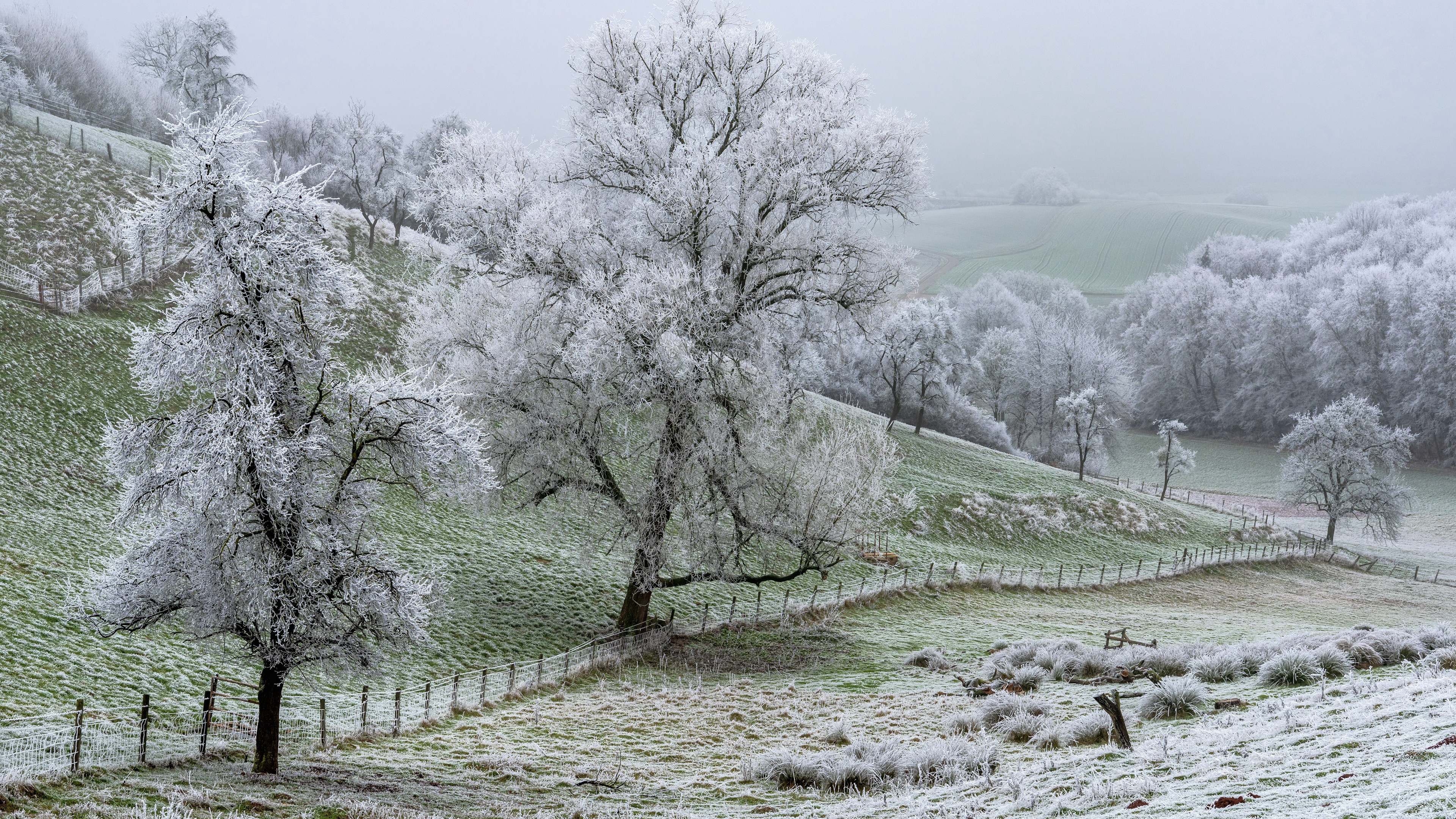 Outdoors Field Winter Frost Landscape Cold Trees 3840x2160
