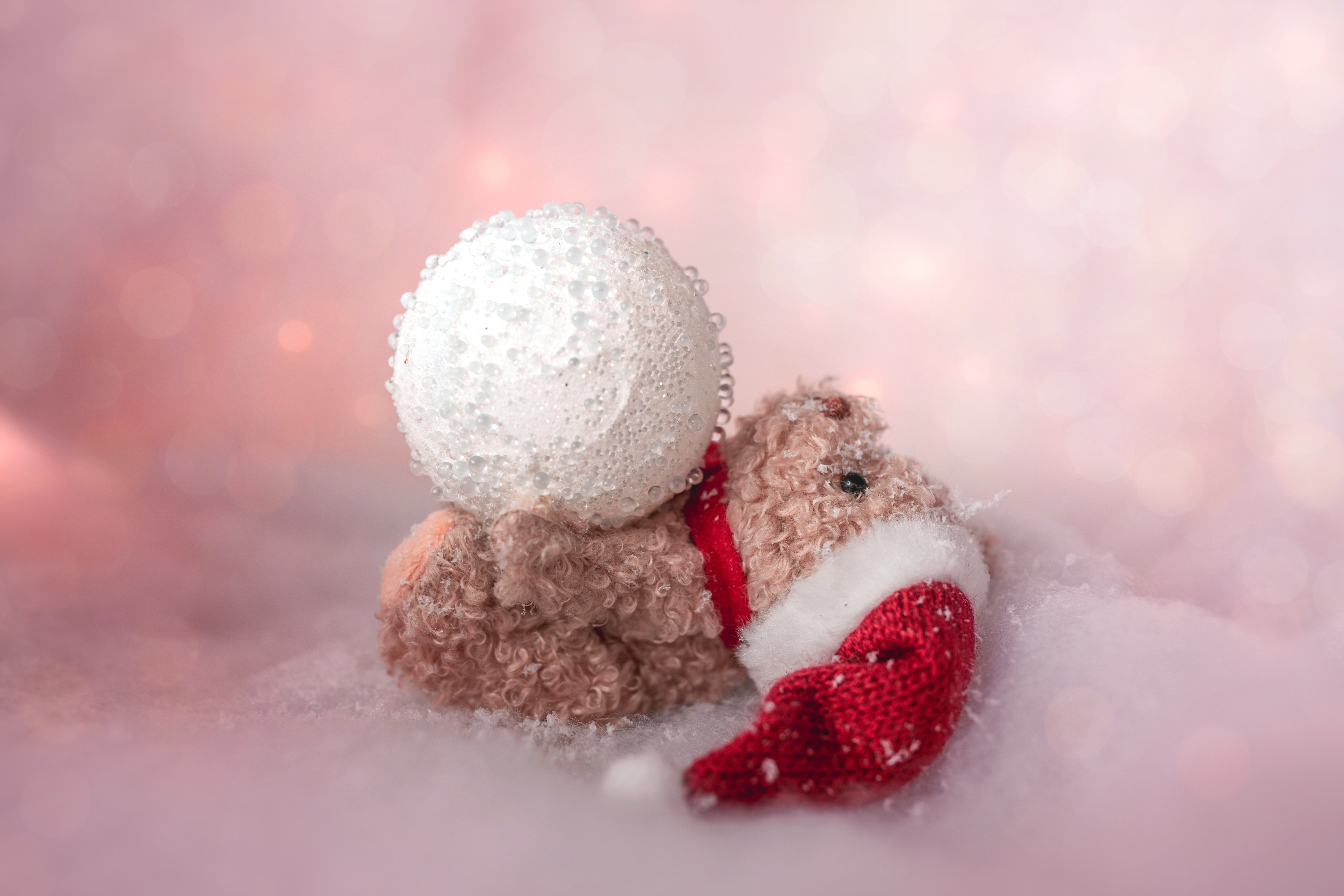 Teddy Bear Ball Santa Hat Snow Toy Winter 5998x4001