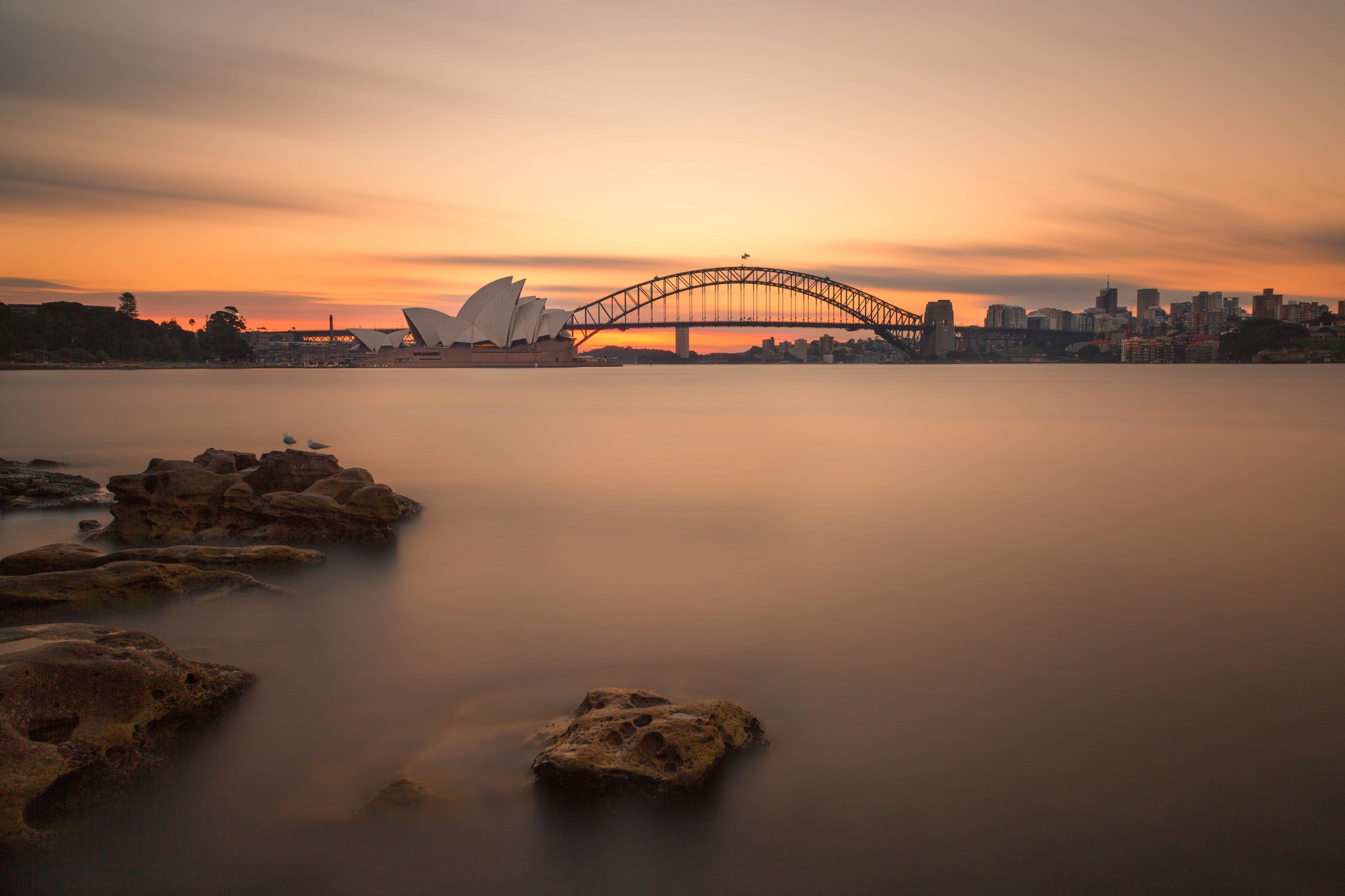 Australia Bridge Sydney Sydney Harbour Bridge 2048x1365