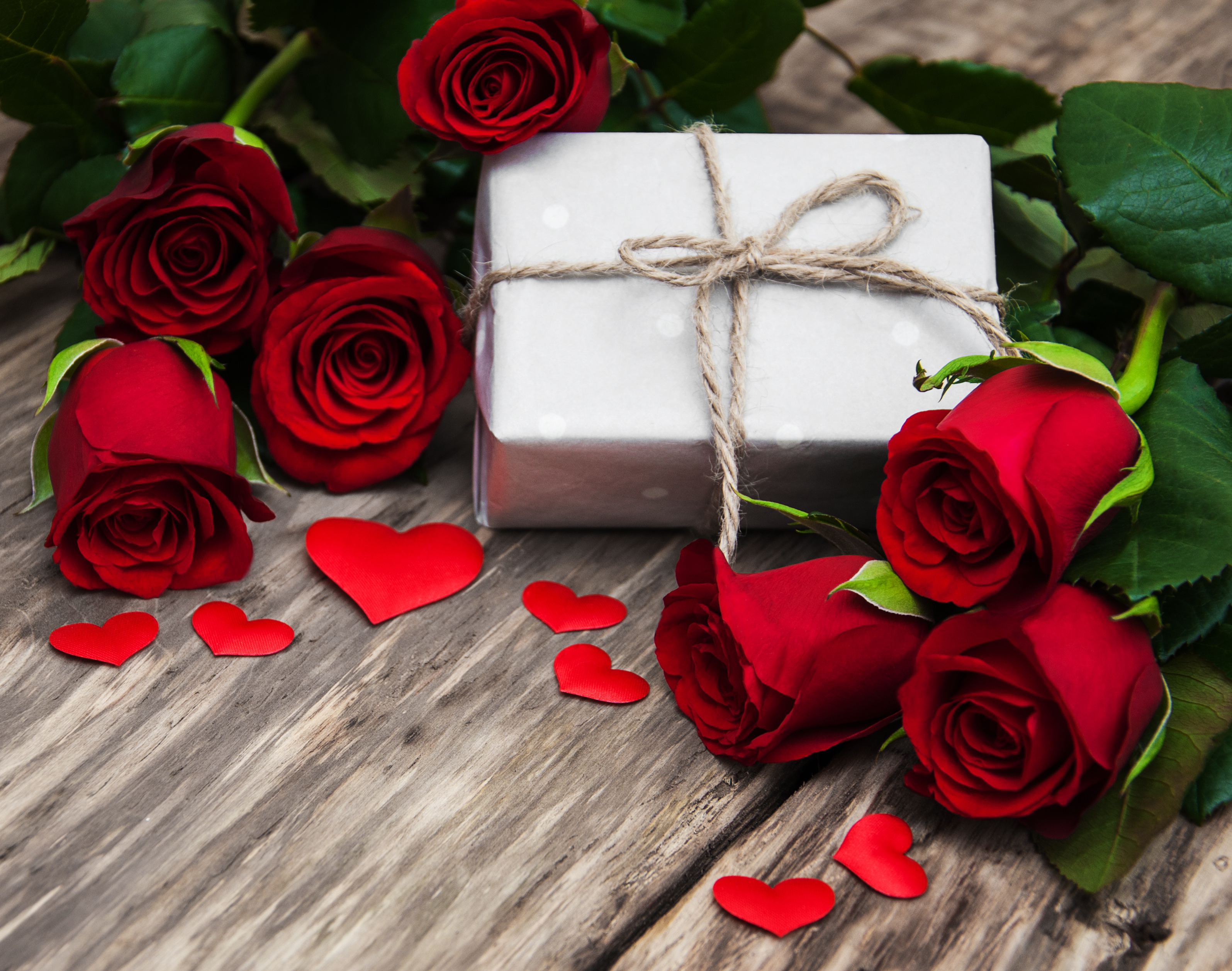 Love Red Flower Romantic Rose 3190x2515