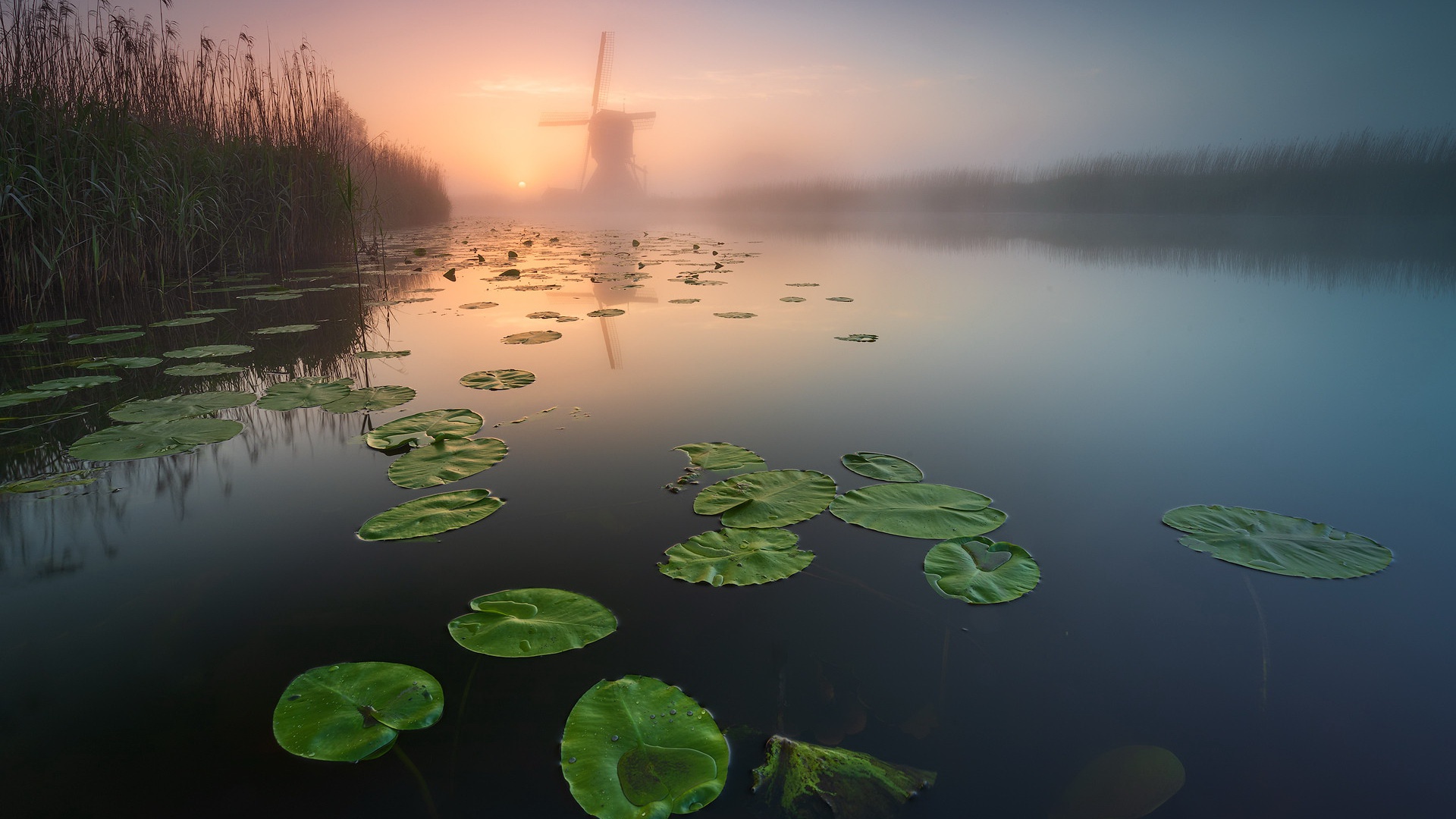 Nature Sunlight Outdoors Calm Waters Windmill Plants 1920x1080