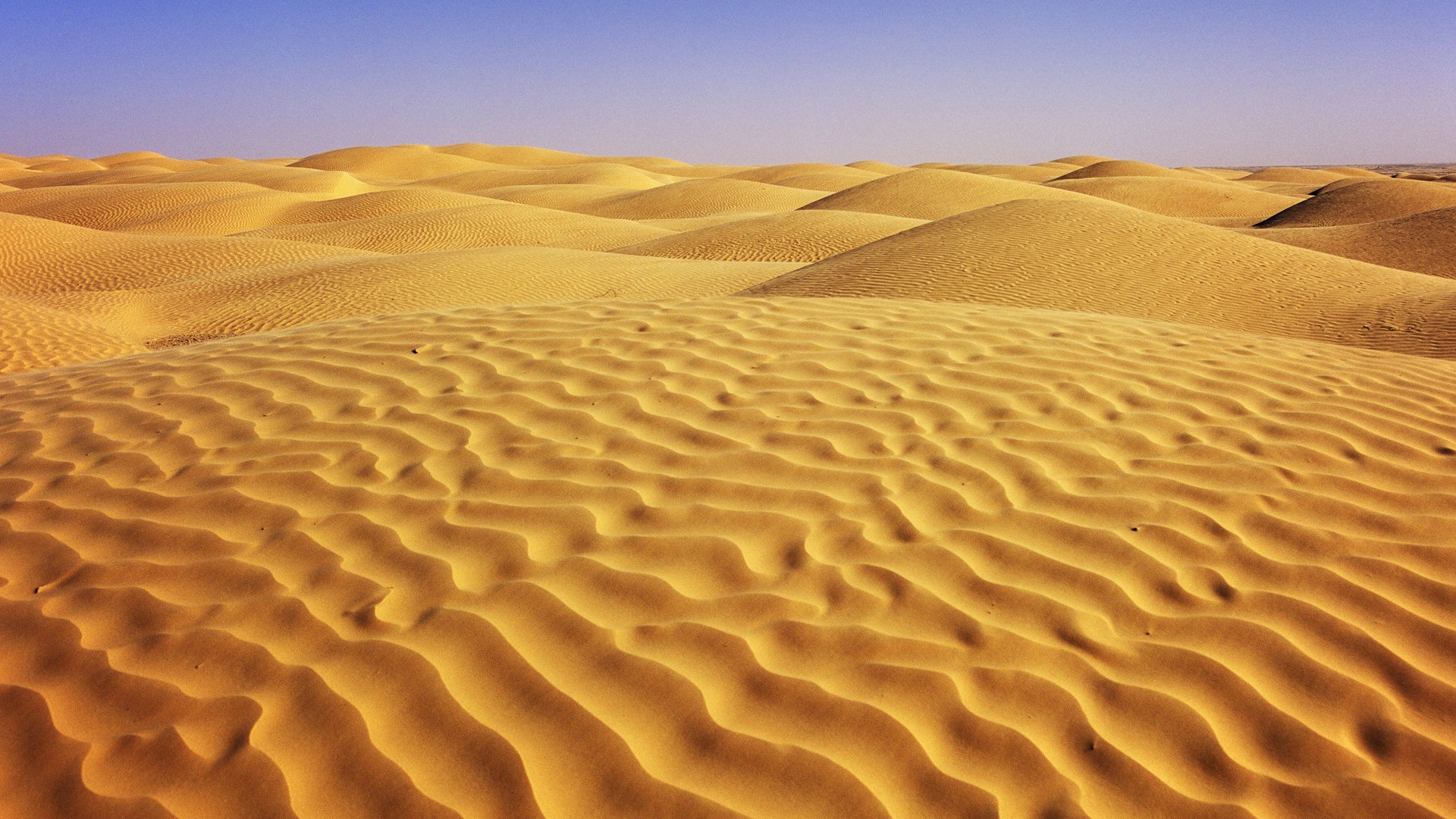Tunisia Sahara Desert Sand Nature 1920x1080