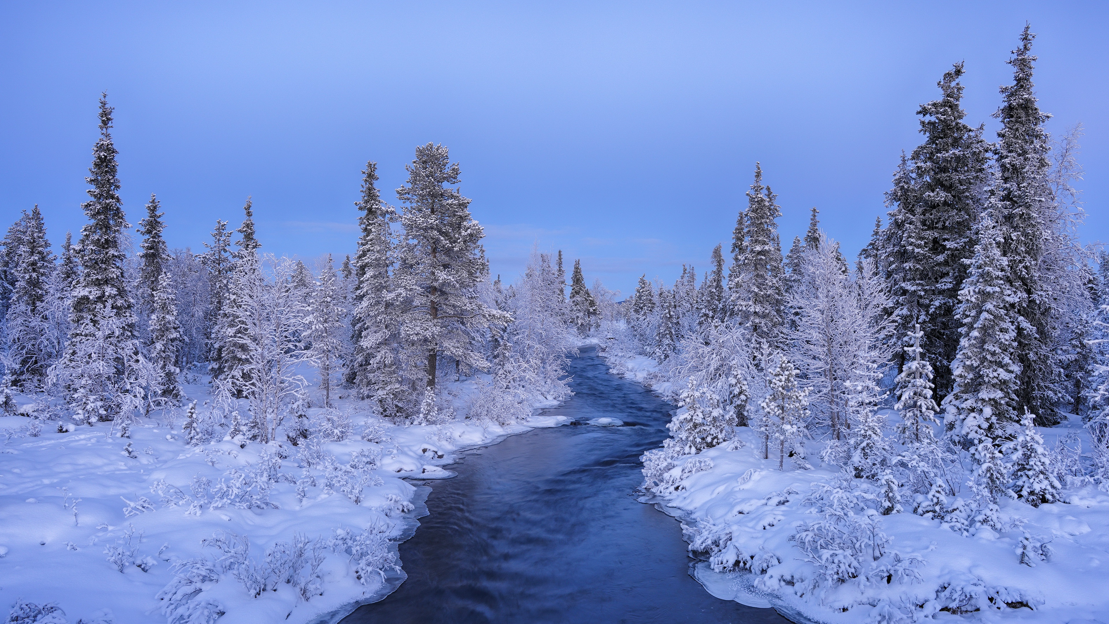 Nature Creeks Winter Cold Outdoors Trees Water Snow 3840x2160