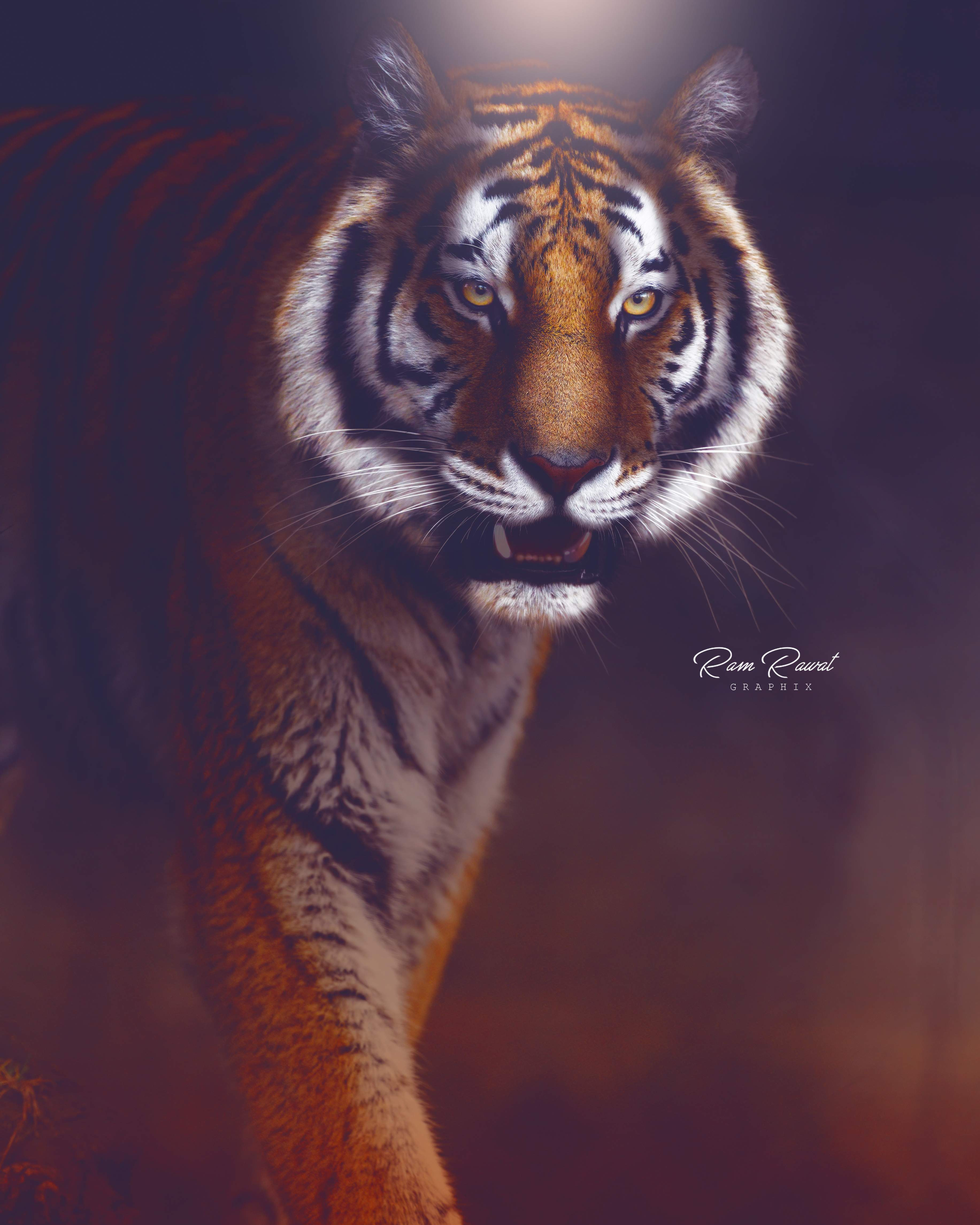 Tiger Digital Lighting Edit Gradient Wallpaper - Resolution:3665x4581 -  ID:1213212 