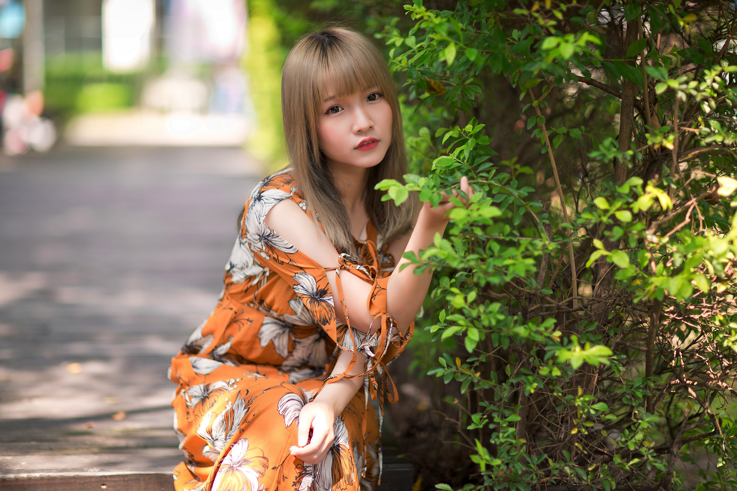 Asian Model Women Long Hair Brunette Flower Dress Depth Of Field Bushes 2560x1706