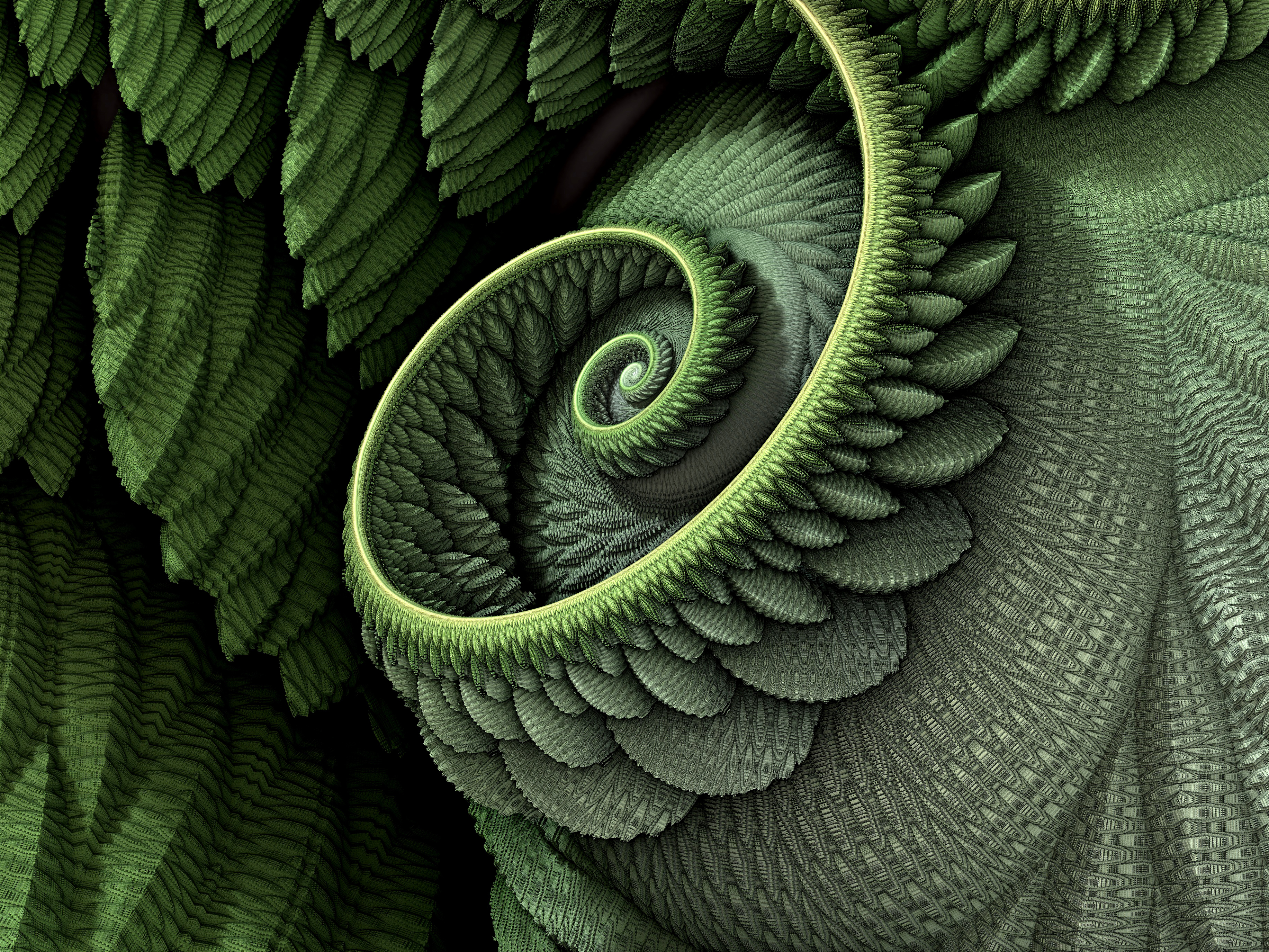 Abstract 3D Render Fractal Spiral Closeup Green Pattern Detailed 3666x2750