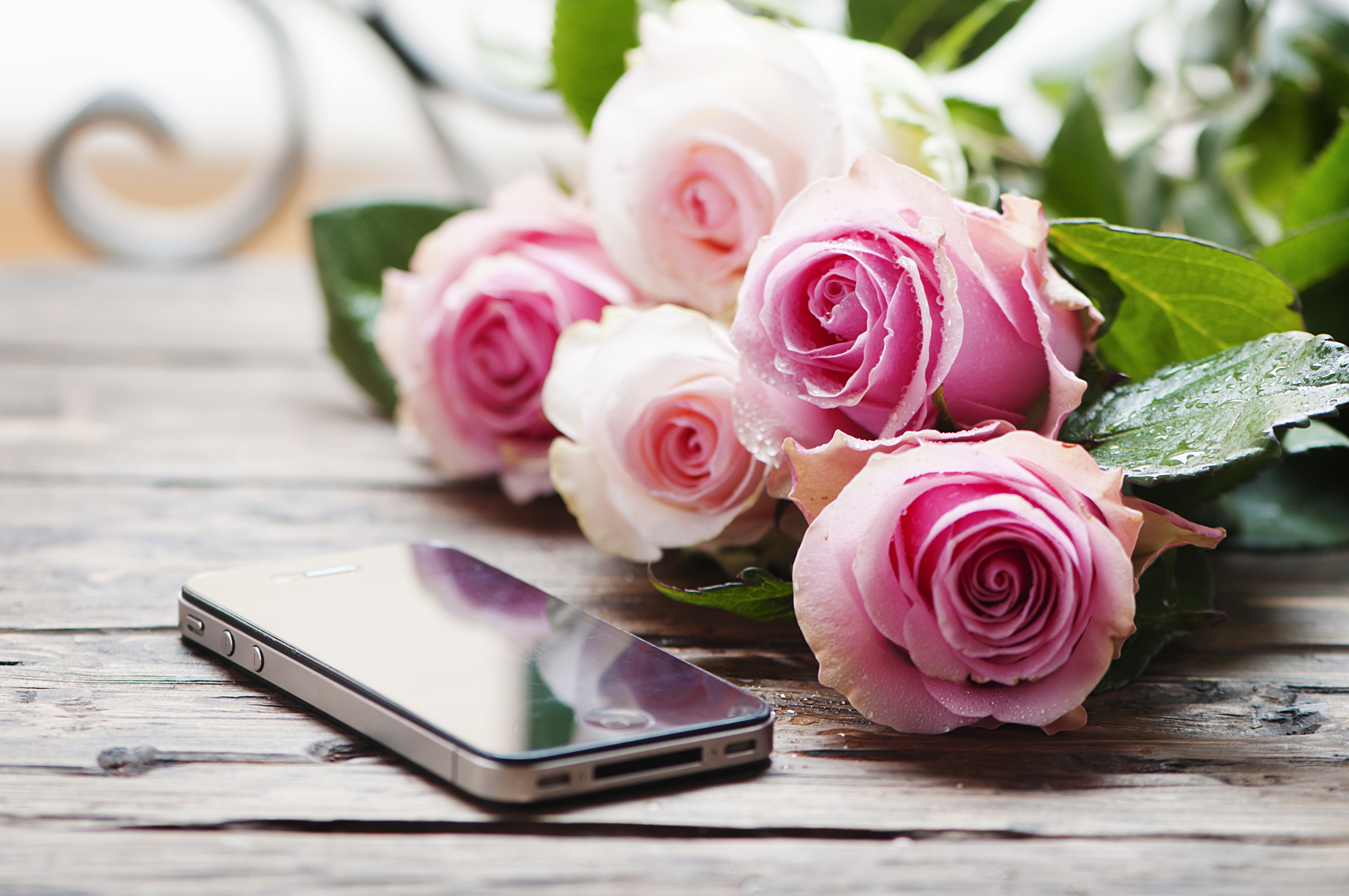 Smartphone Bouquet Rose 4288x2848