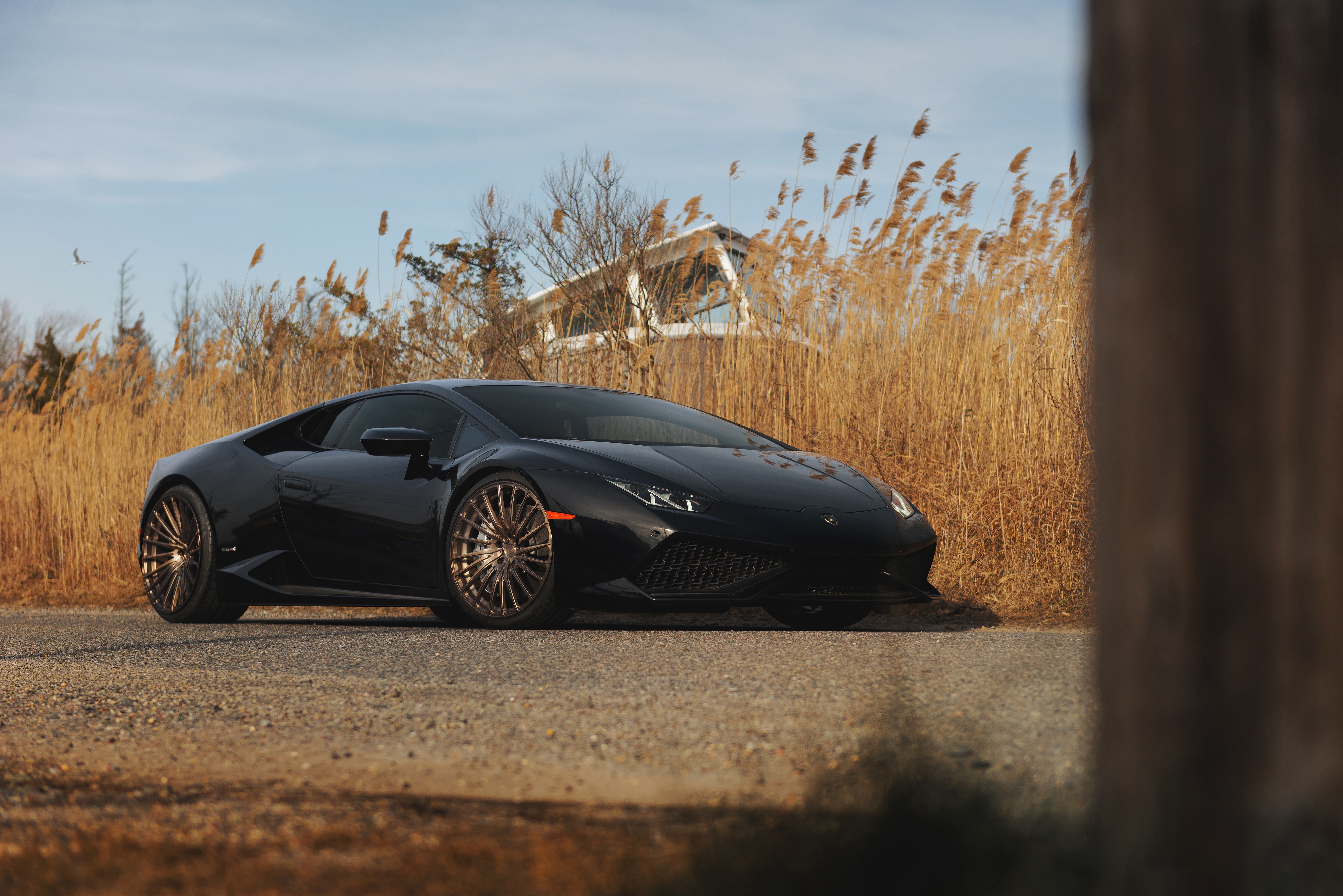 Lamborghini Car Black Car Sport Car Supercar 6016x4016