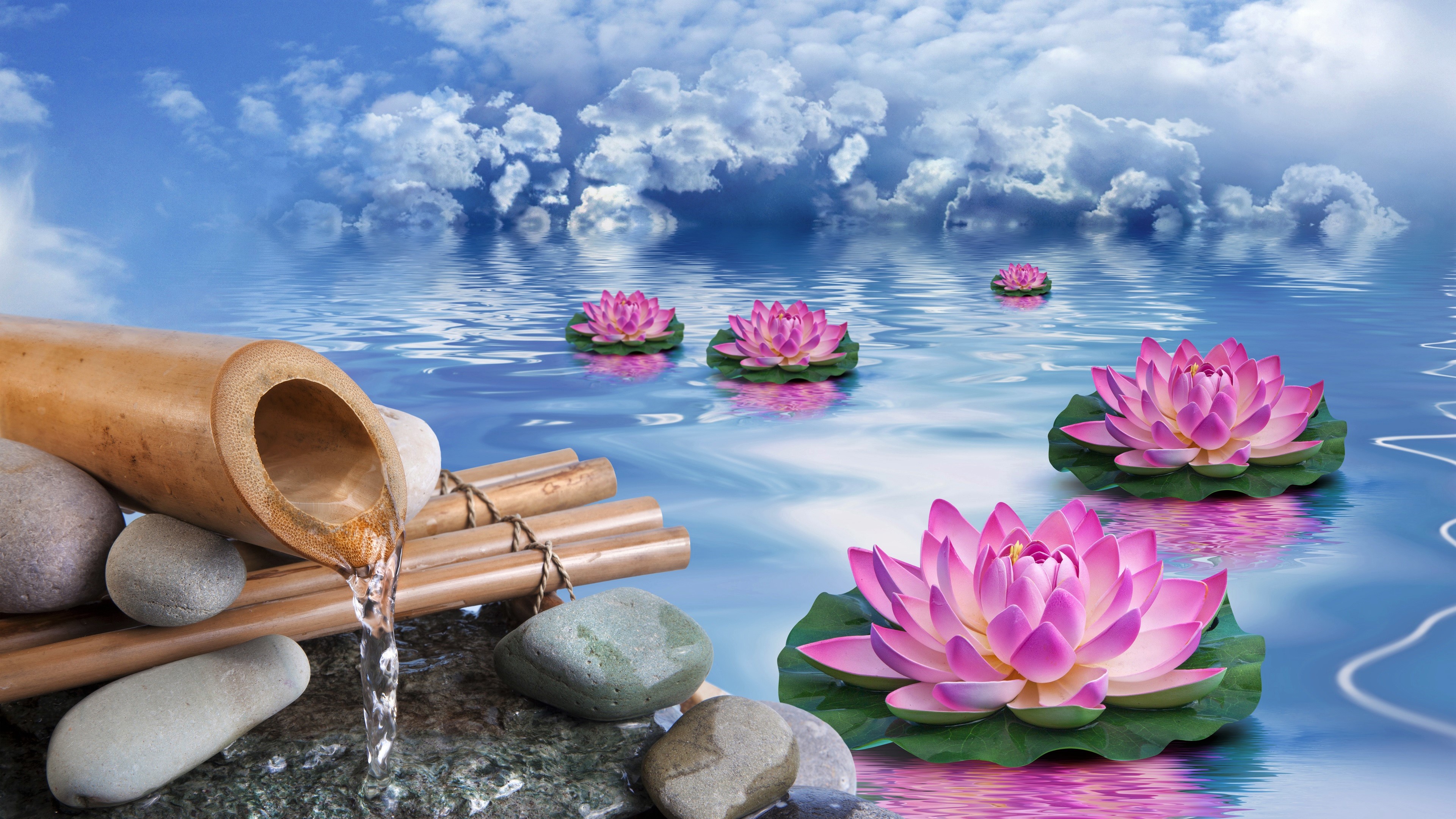 Water Lily Cloud Water Pink Flower 3840x2160