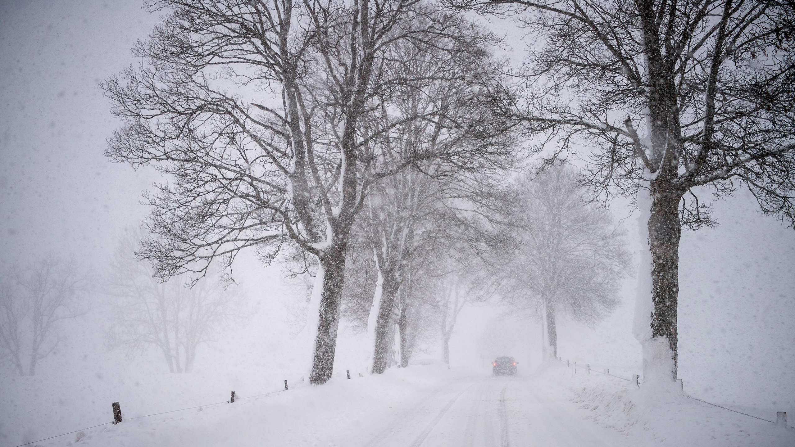 Road Snow Winter Storm Trees Car Nature Landscape 2560x1440