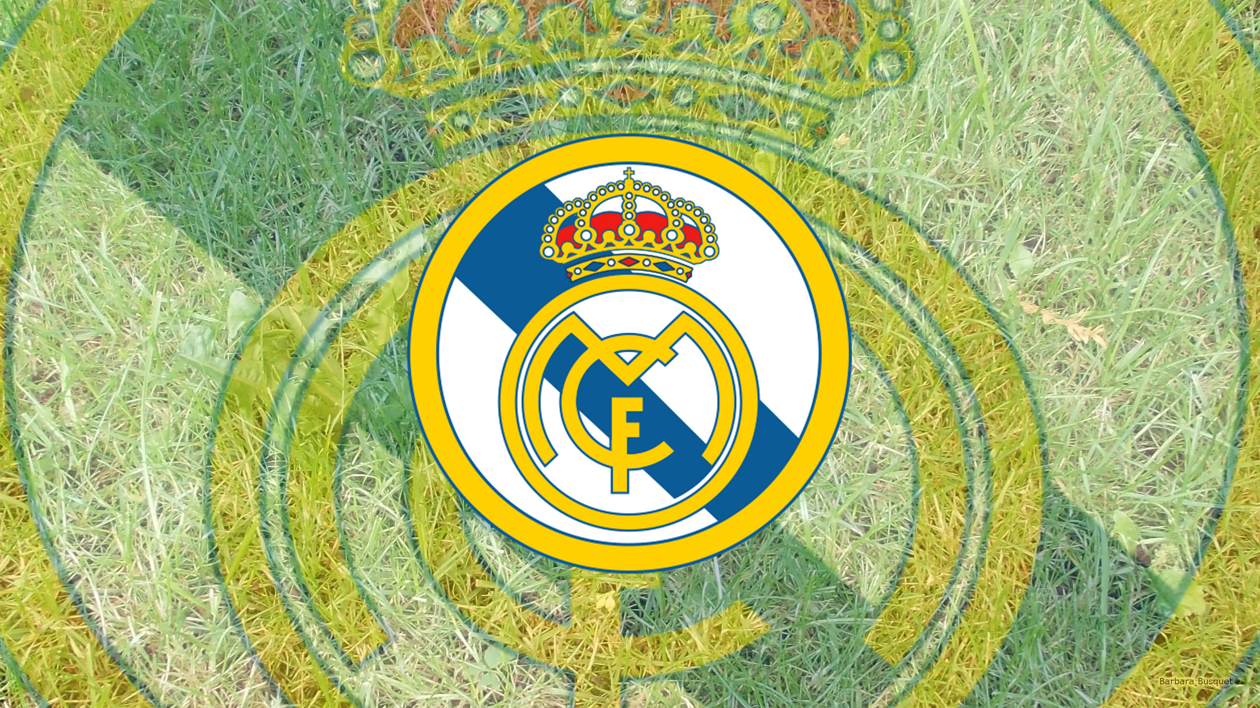 Sports Real Madrid C F 2560x1440
