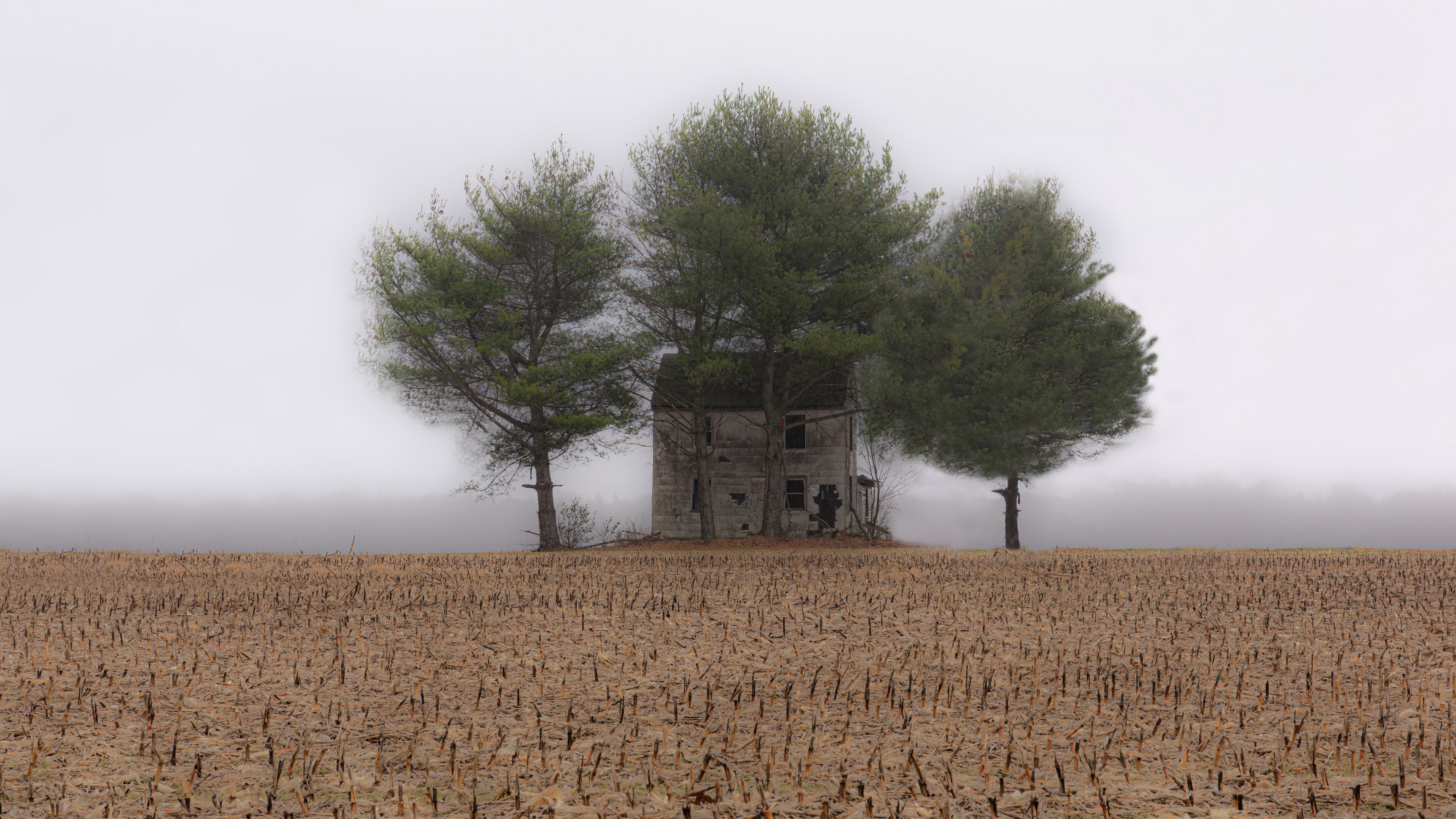 Field Fog 3840x2160