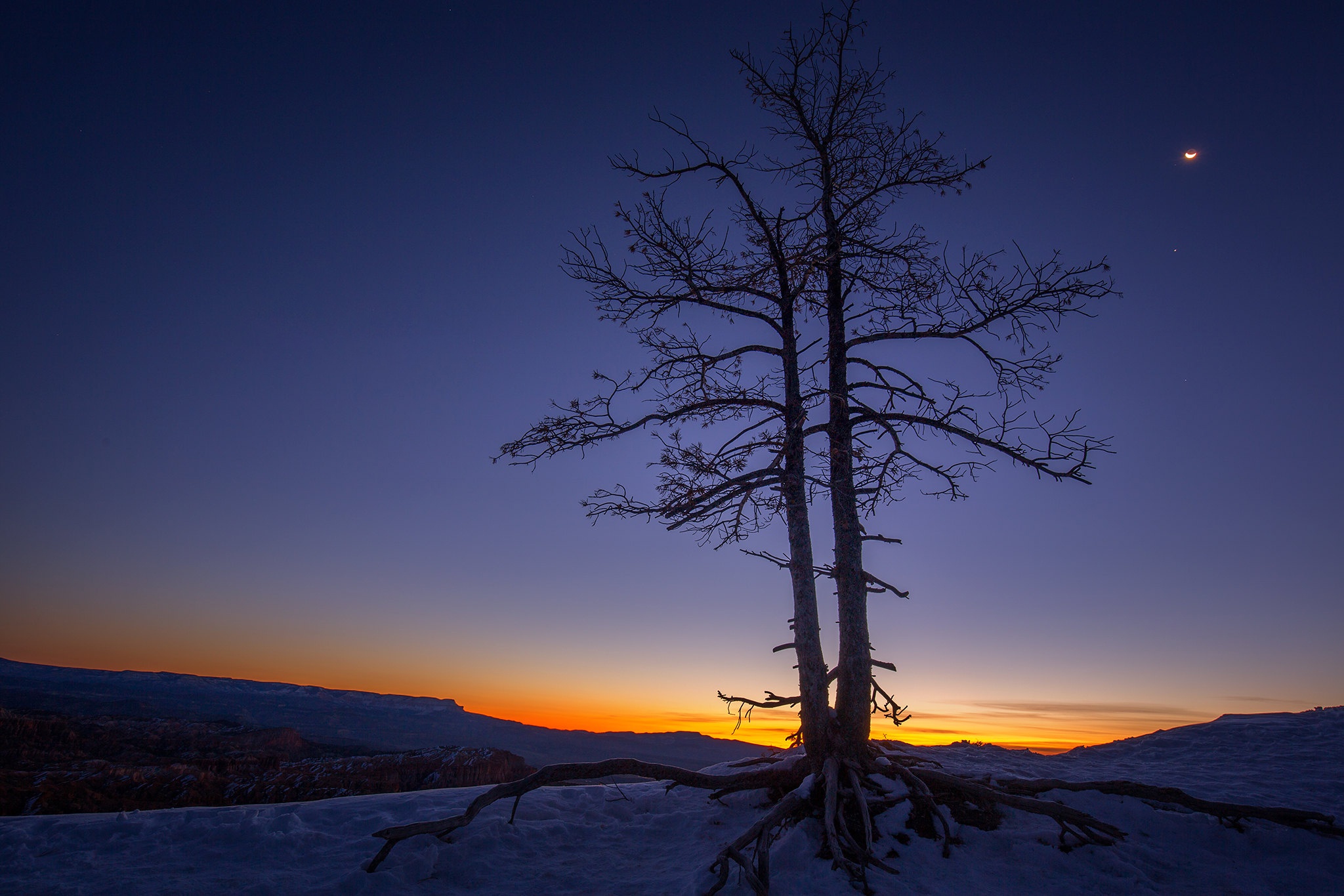 Tree Sunset 2048x1365