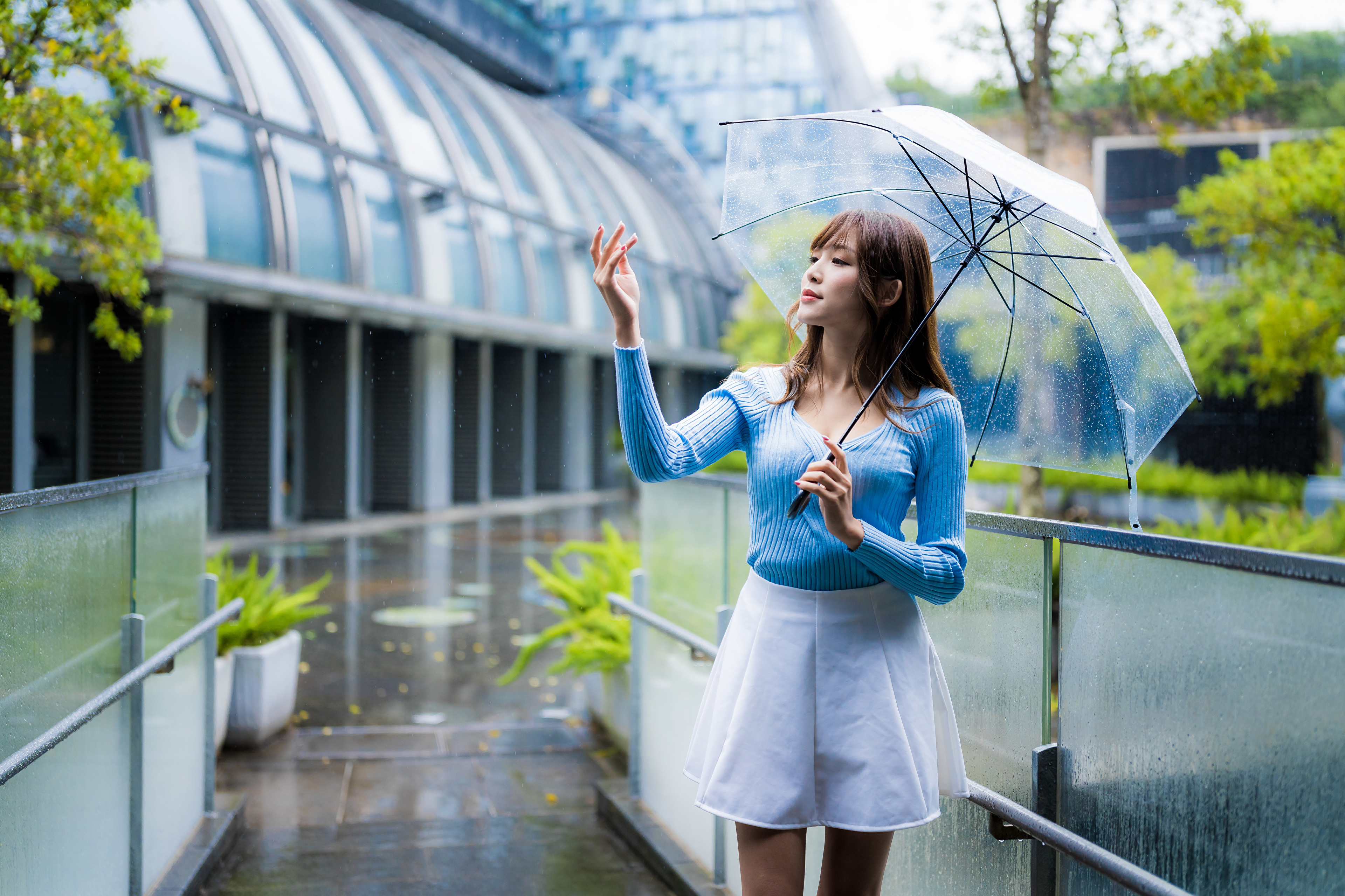 Asian Model Women Women Outdoors Long Hair Dark Hair Flowerpot Plants Umbrella Rain Pullover White S 3840x2559