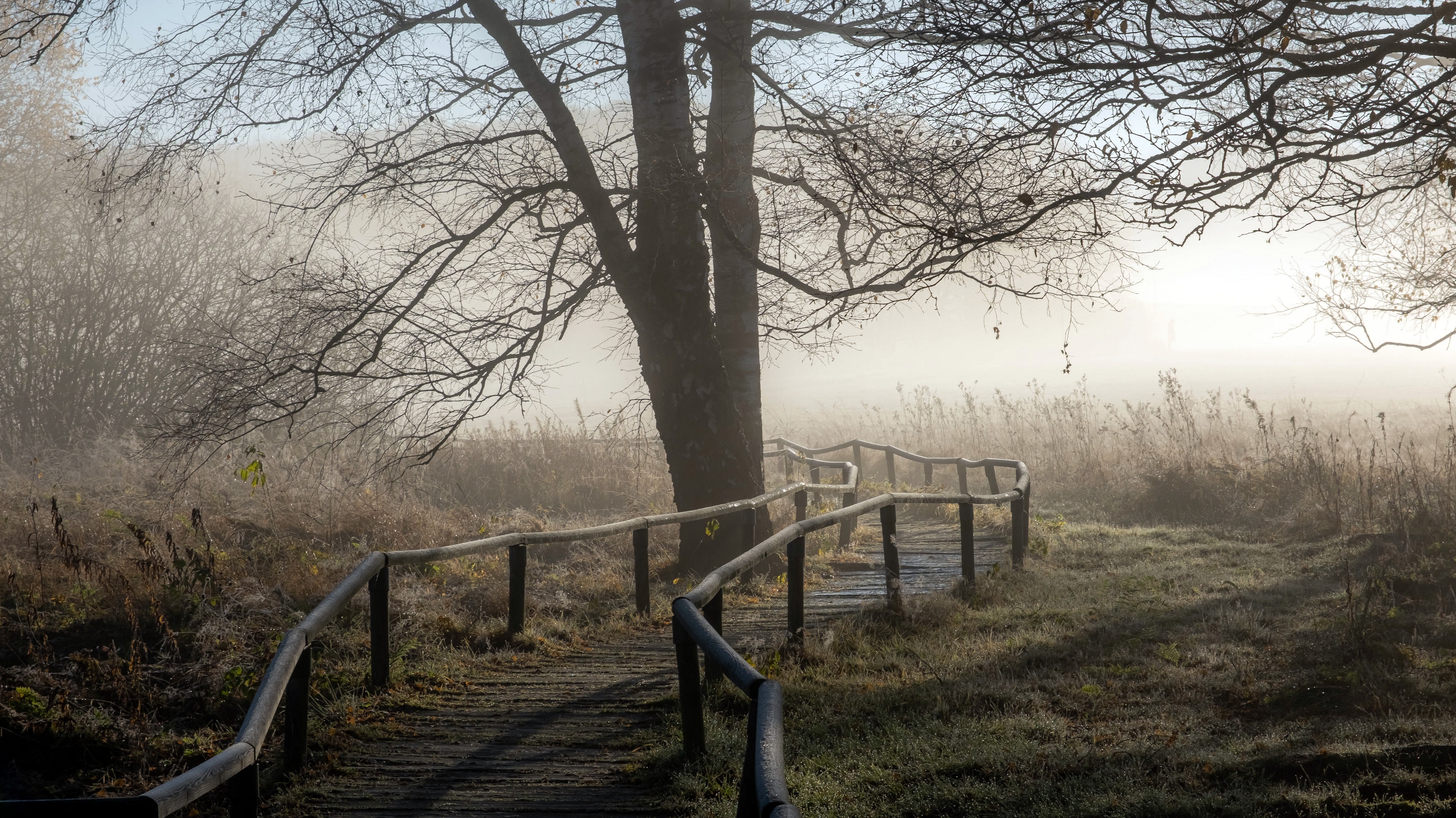 Outdoors Fall Trees Pathway Path 3840x2160