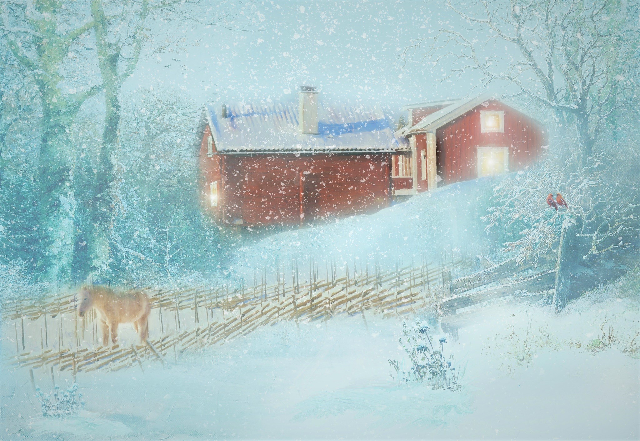 House Country Winter Snow Snowfall Fence Cardinal Donkey 2048x1411