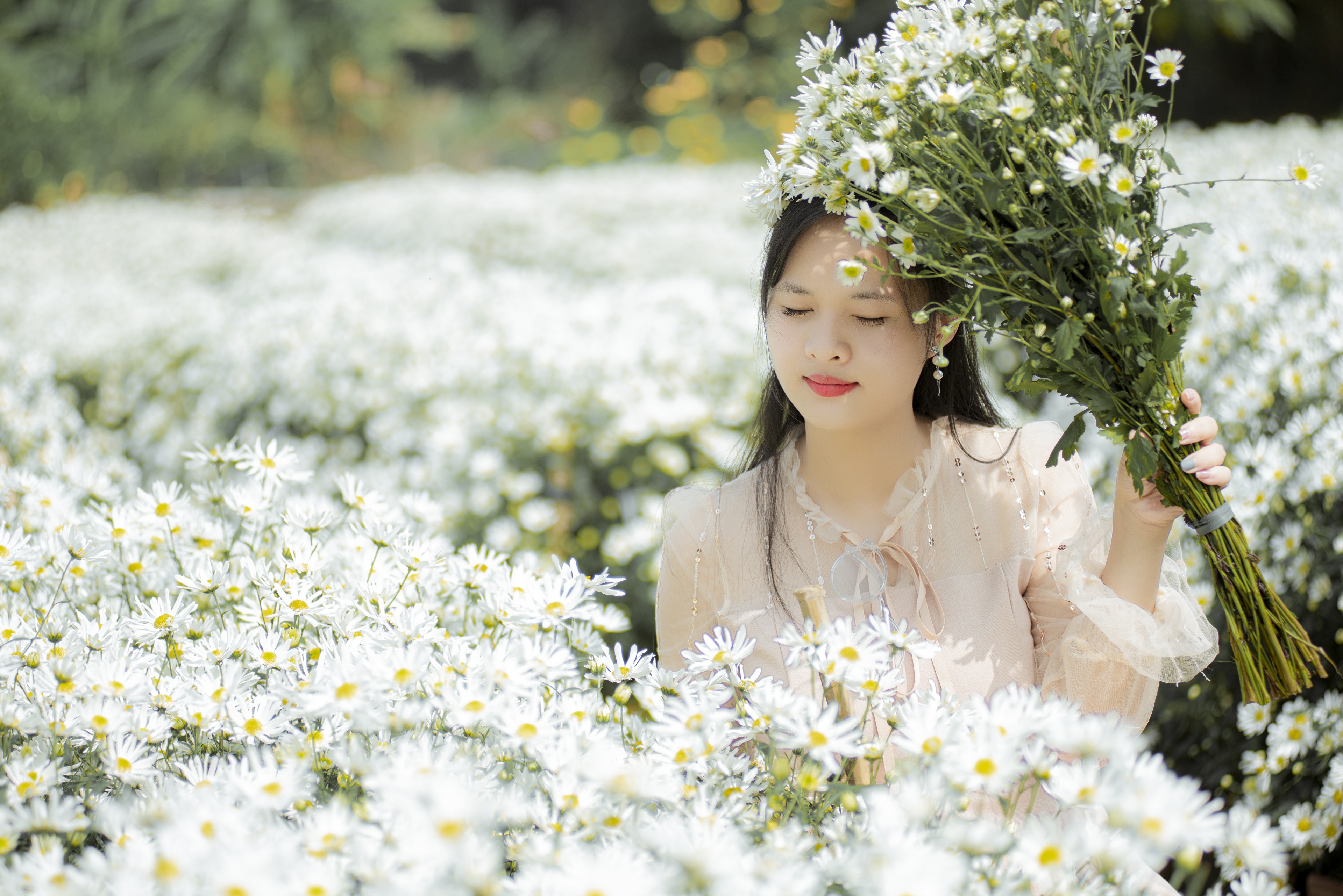 Mood White Flower 3840x2563