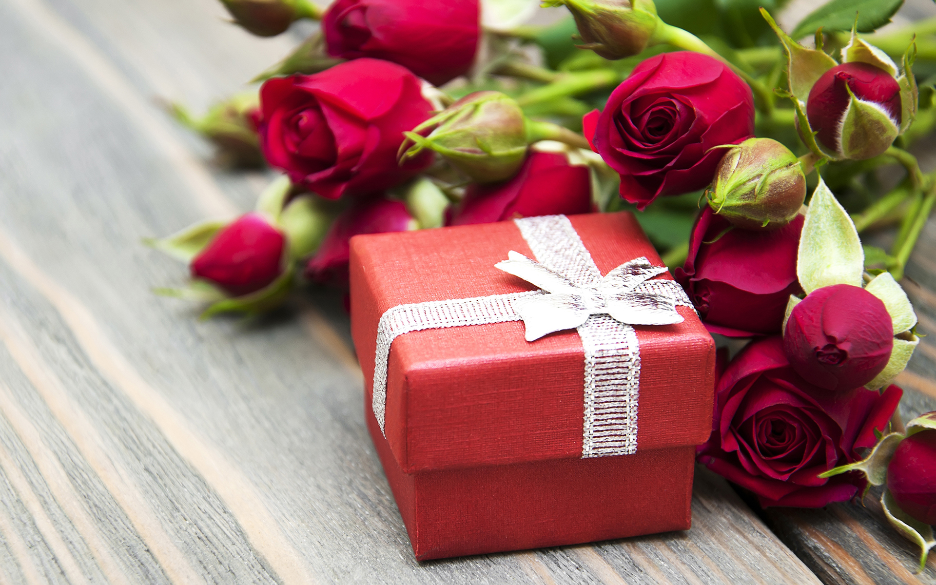 Gift Rose Valentine 039 S Day 1920x1200