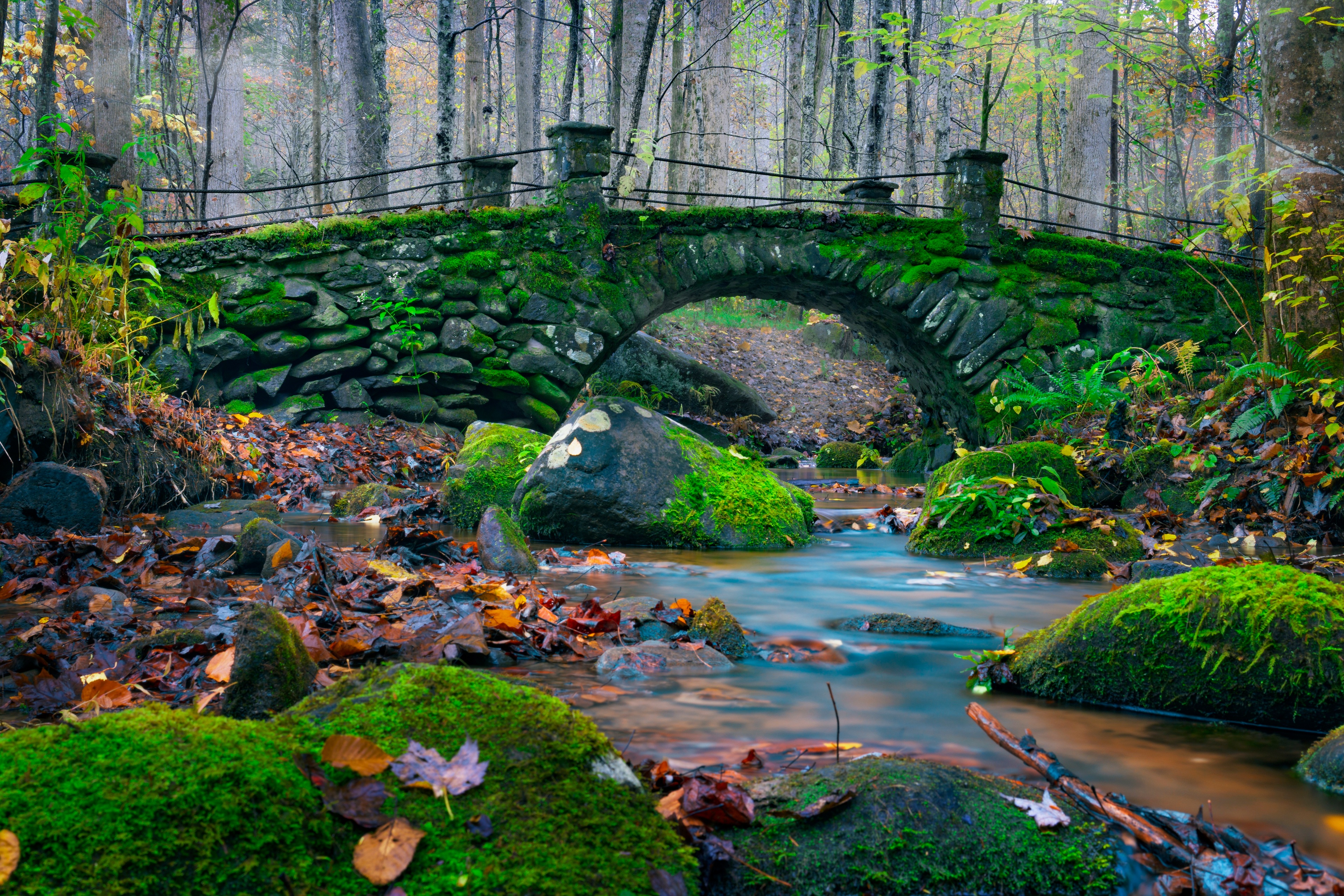 Nature Forest Bridge Stream Moss Stones 3840x2560