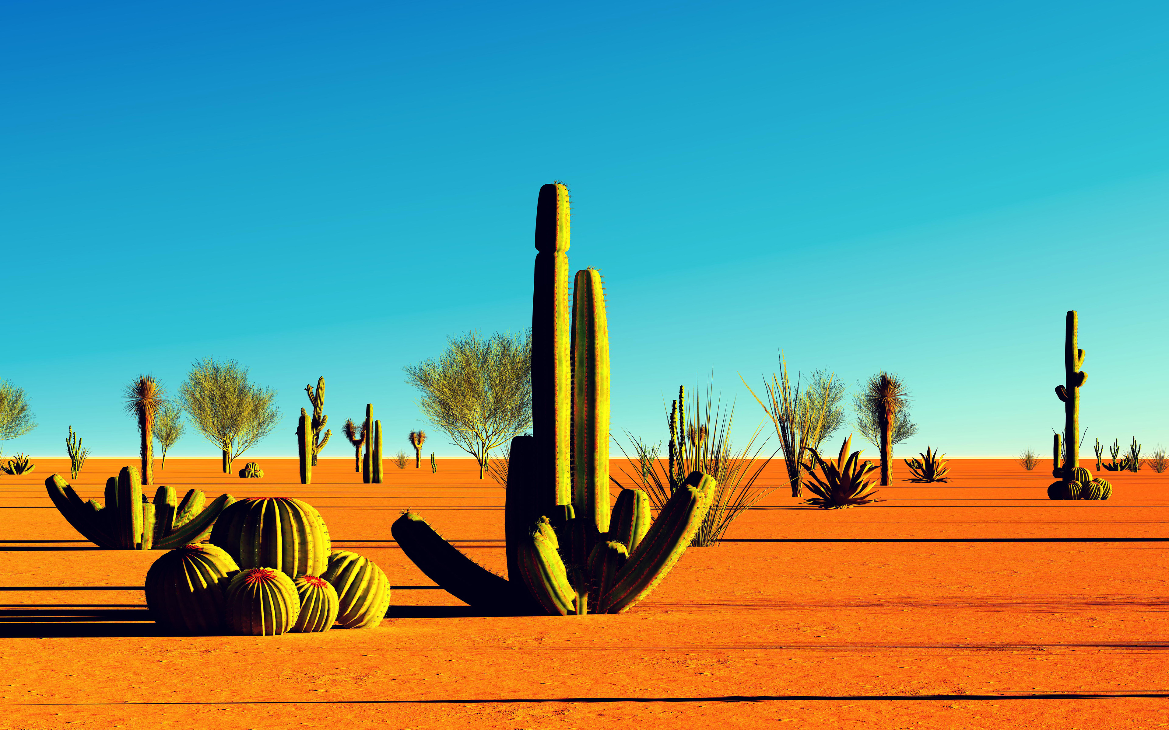 Desert California Landscape Sand 3840x2400