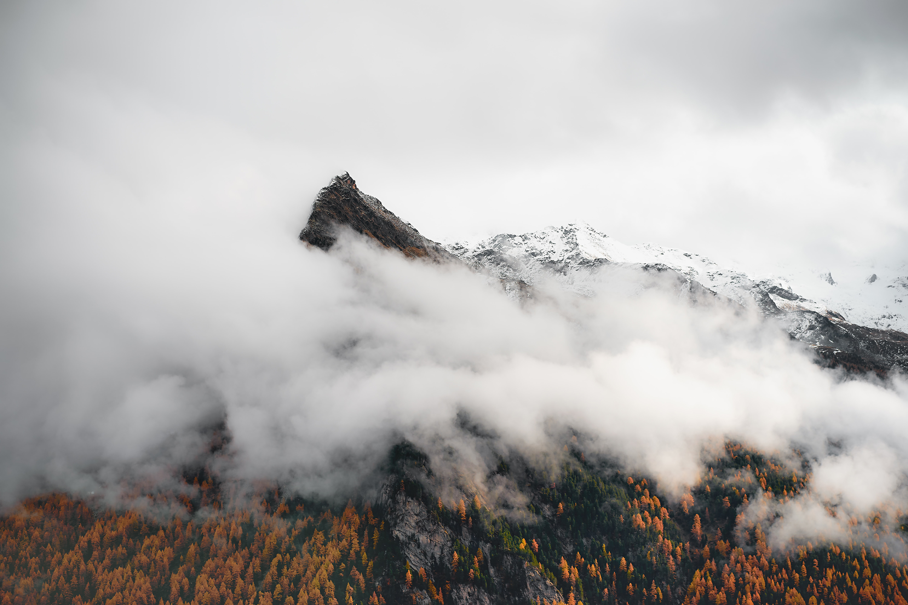 Landscape Forest Mountains Clouds Mist 3000x2000