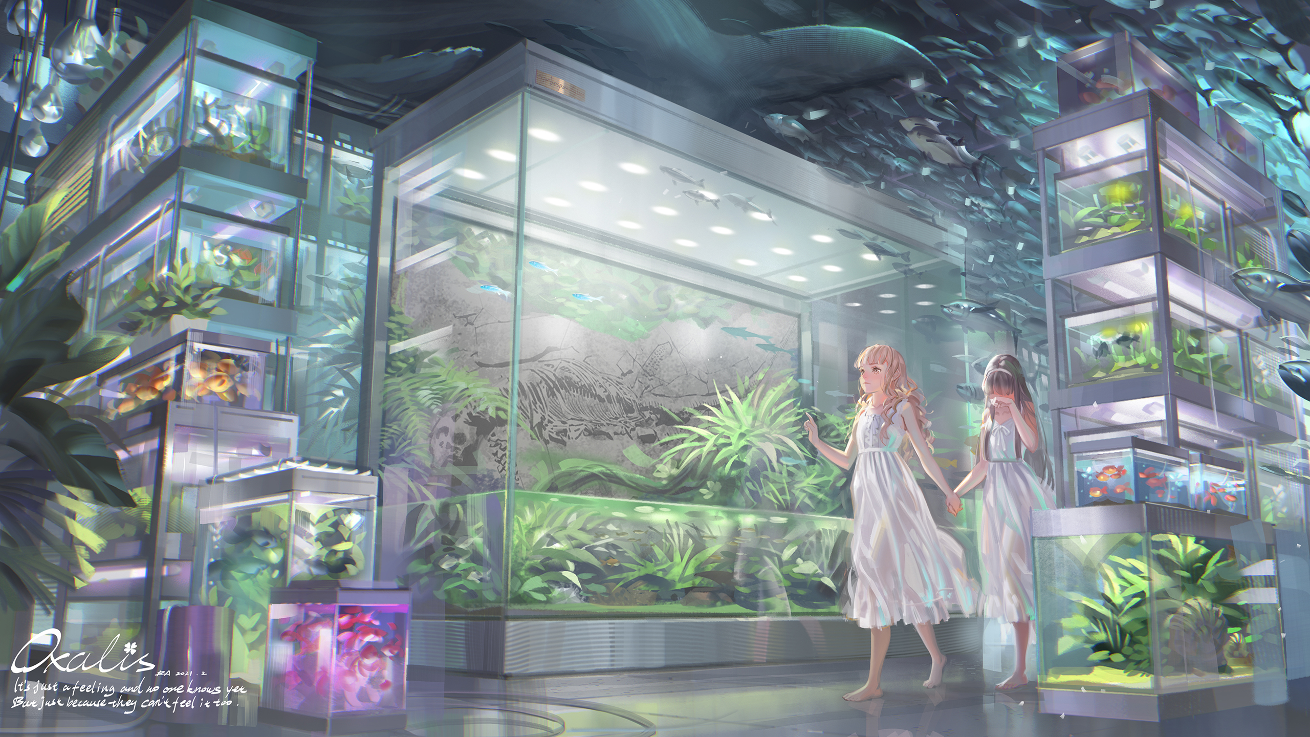 Anime Girls Original Characters Aquarium Fish LiliumRA Barefoot Dress Sun Dress 2560x1440