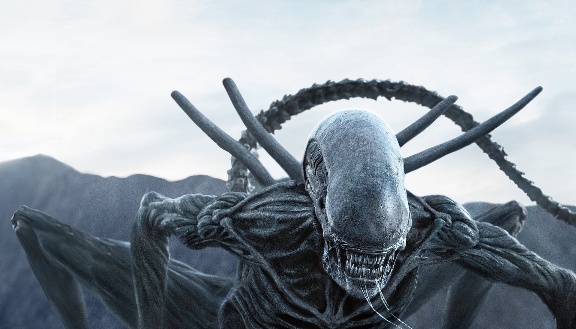 Alien Creature Movies Alien Covenant Science Fiction Horror Creature Xenomorph Movie Scenes 1920x1098
