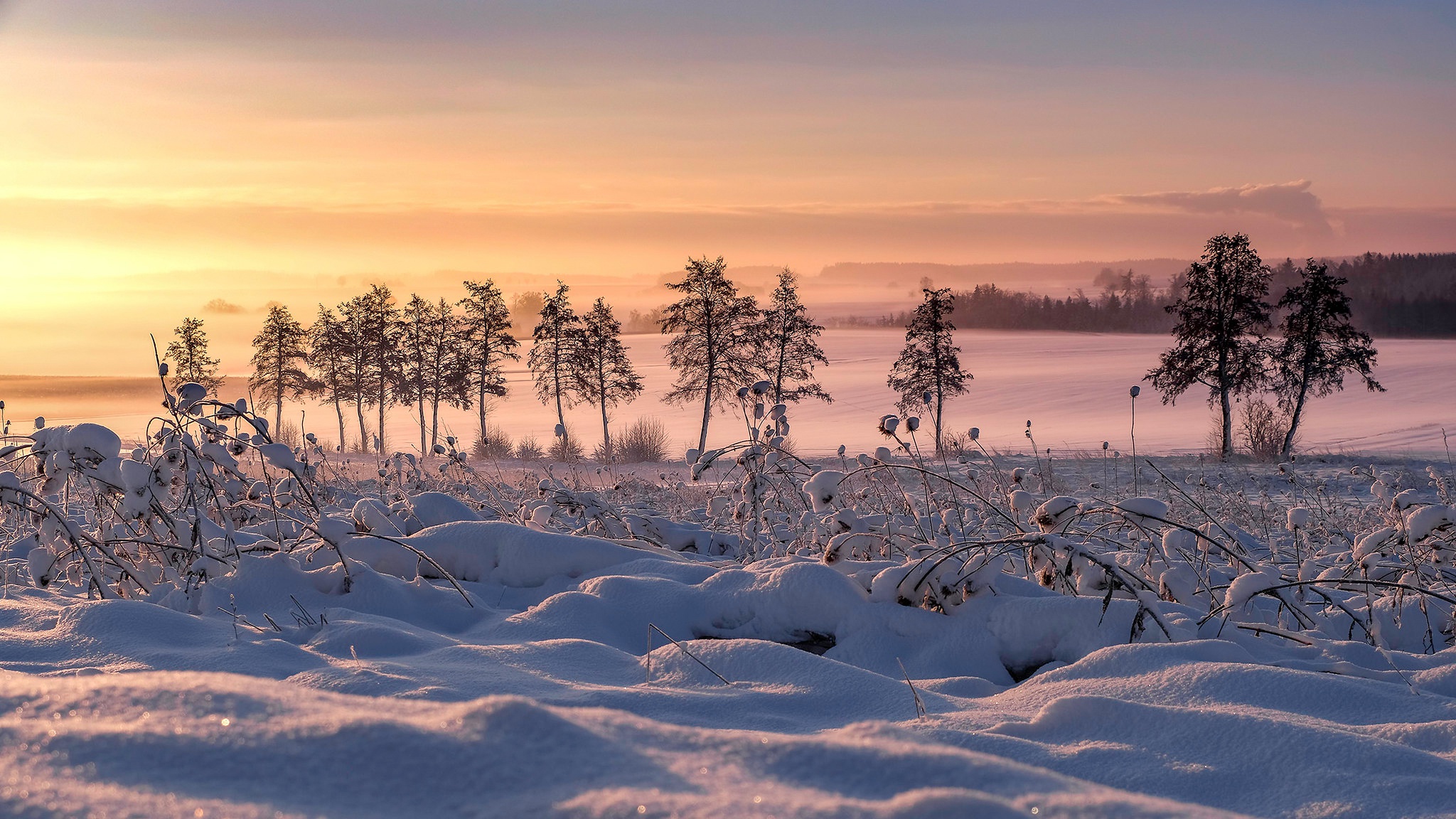 Snow Sunrise Landscape 2048x1152