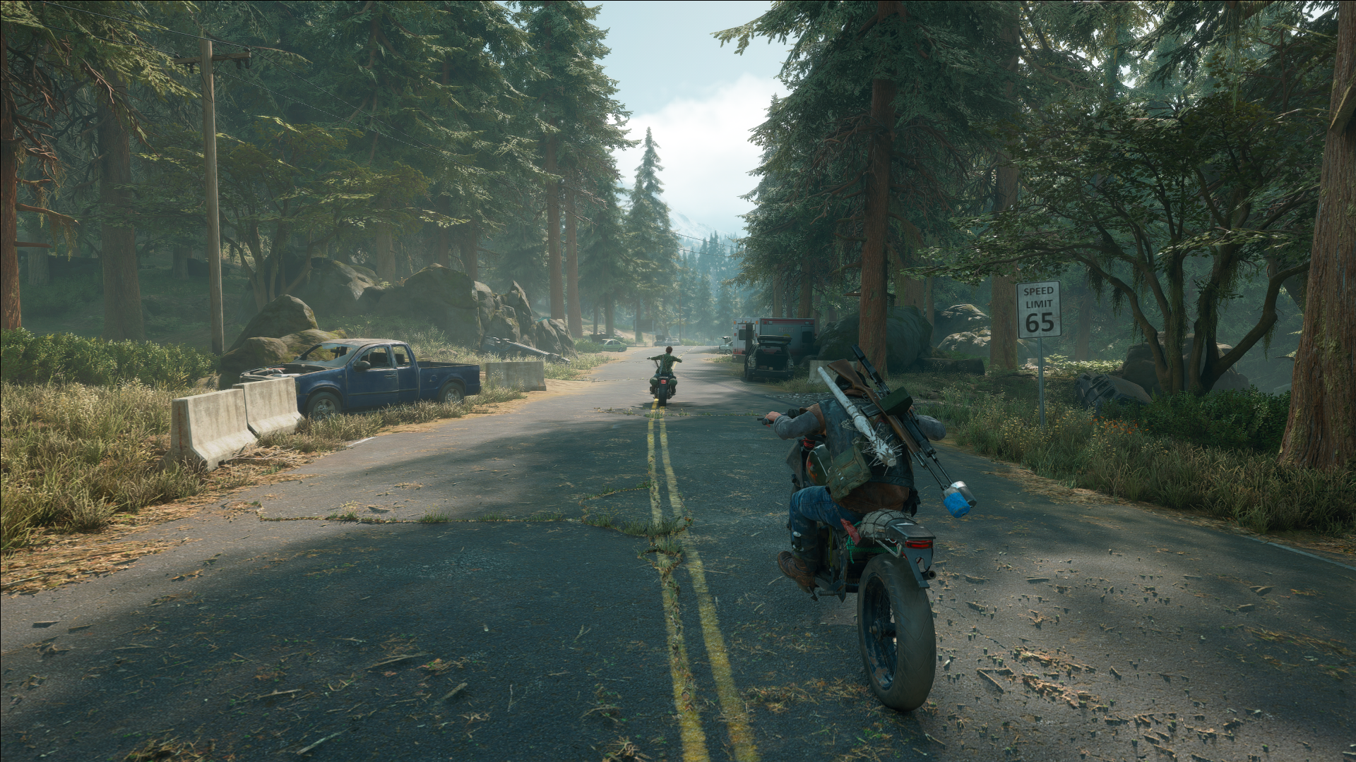 Days Gone Gaming Series Games Posters Video Games Bend Studios 1920x1080