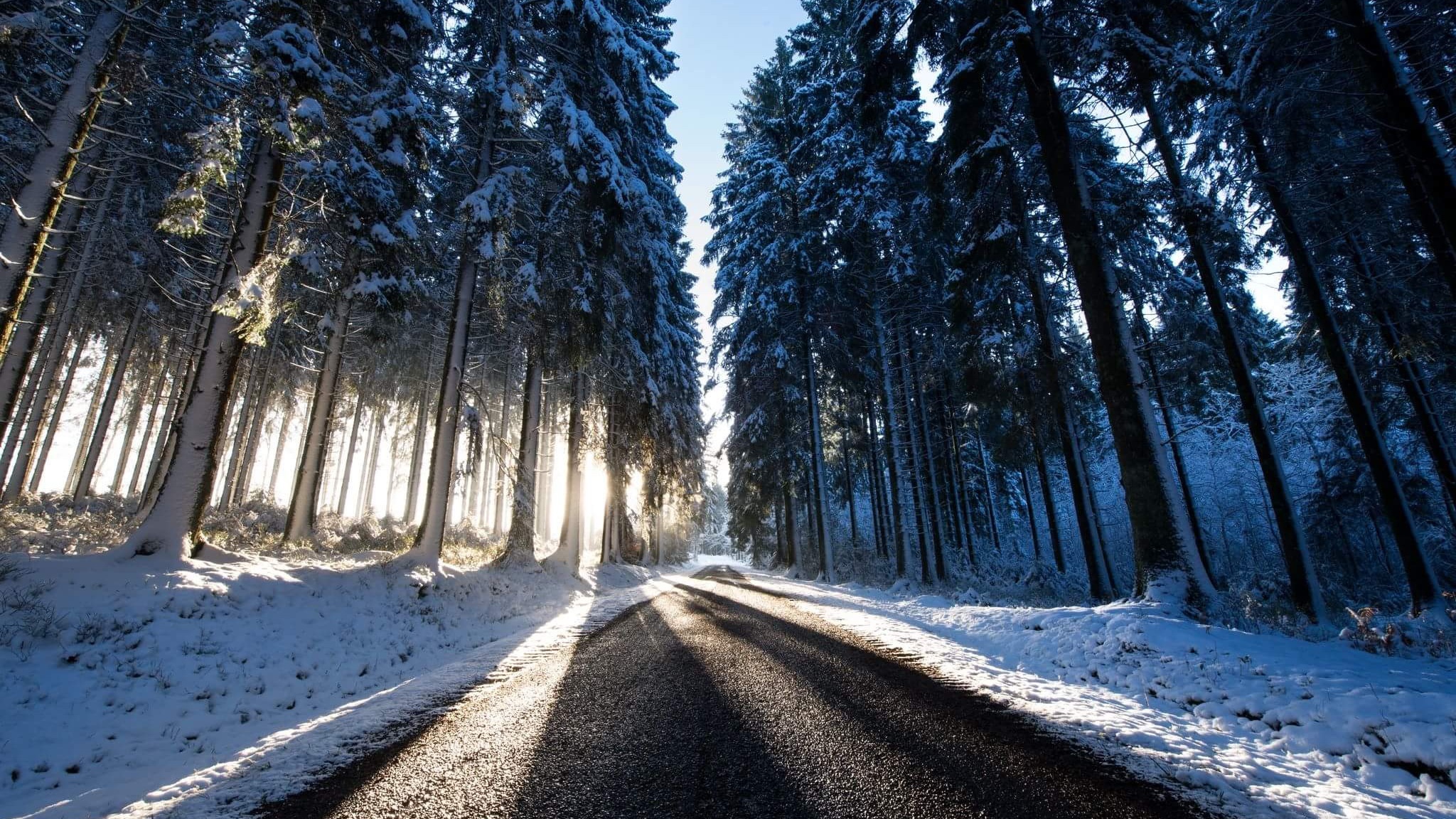 Outdoors Road Trees Winter Snow Ice Cold Sunlight 2048x1152