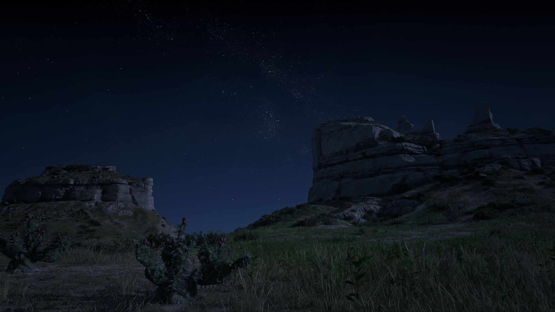Red Dead Redemption 2 Night Moonlight Nature Landscape Spoilers Screen Shot Cliff Stars Foliage 1920x1080