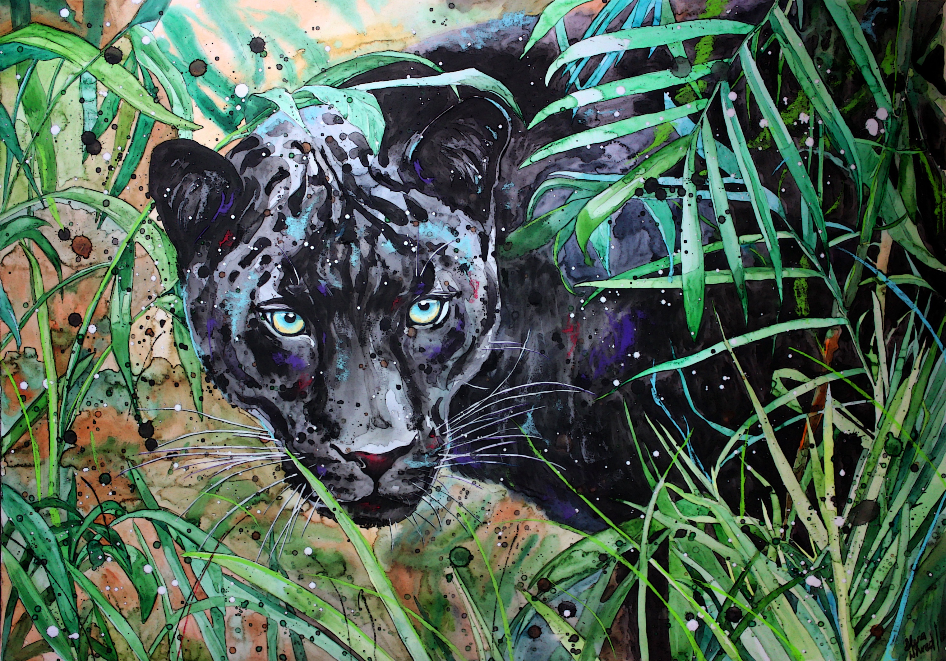 Wildlife Big Cat Black Panther Nature Painting Predator Animal 3043x2127