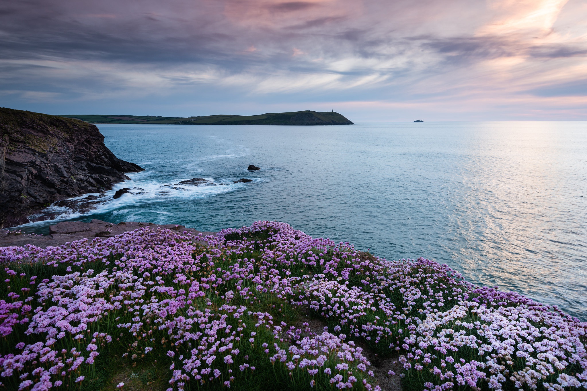 Coast Flower Ocean England 2047x1366