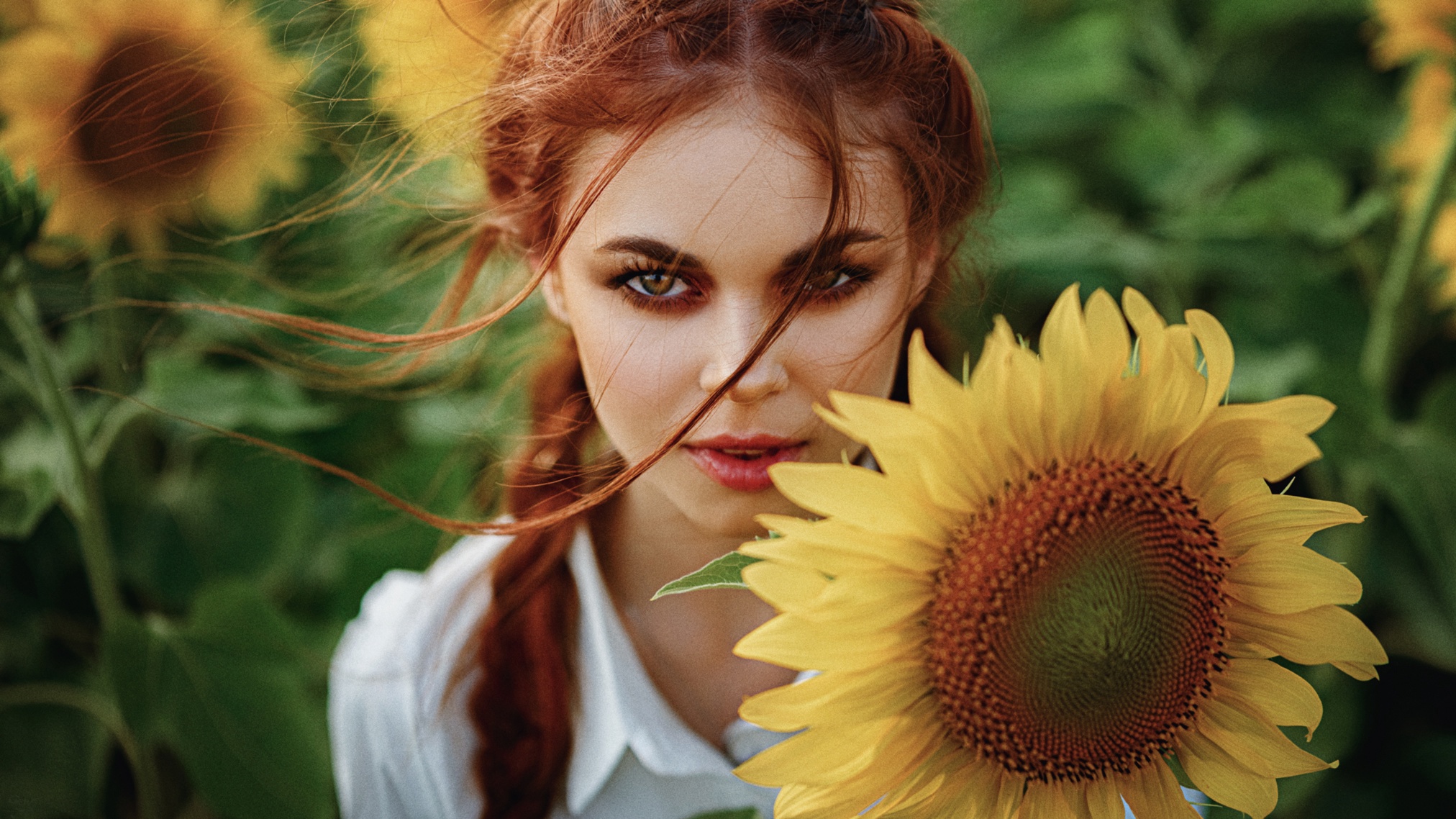 Women Model Face Makeup Flowers Sunflowers Looking At Viewer Women Outdoors 2024x1138
