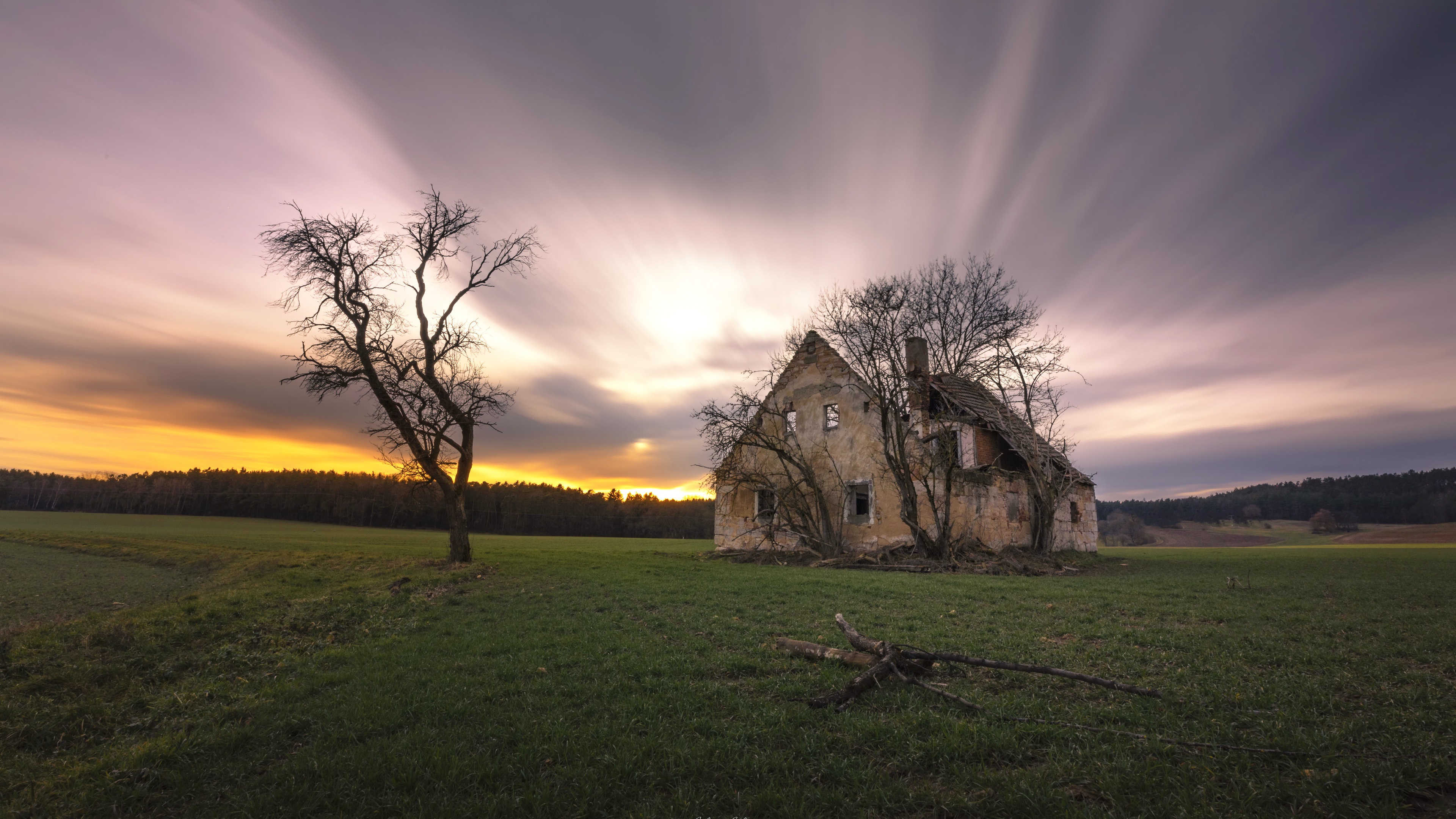 Sunset House Tree 3840x2160