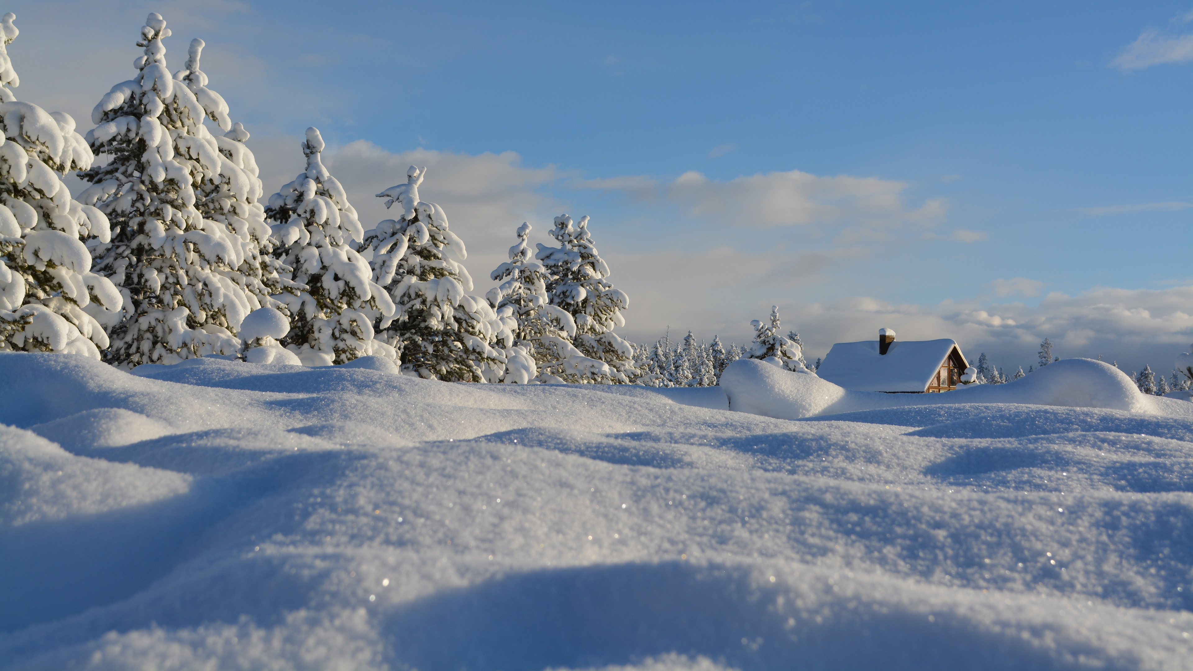 Snow Snow Covered Pine Trees Log Cabin 3840x2160