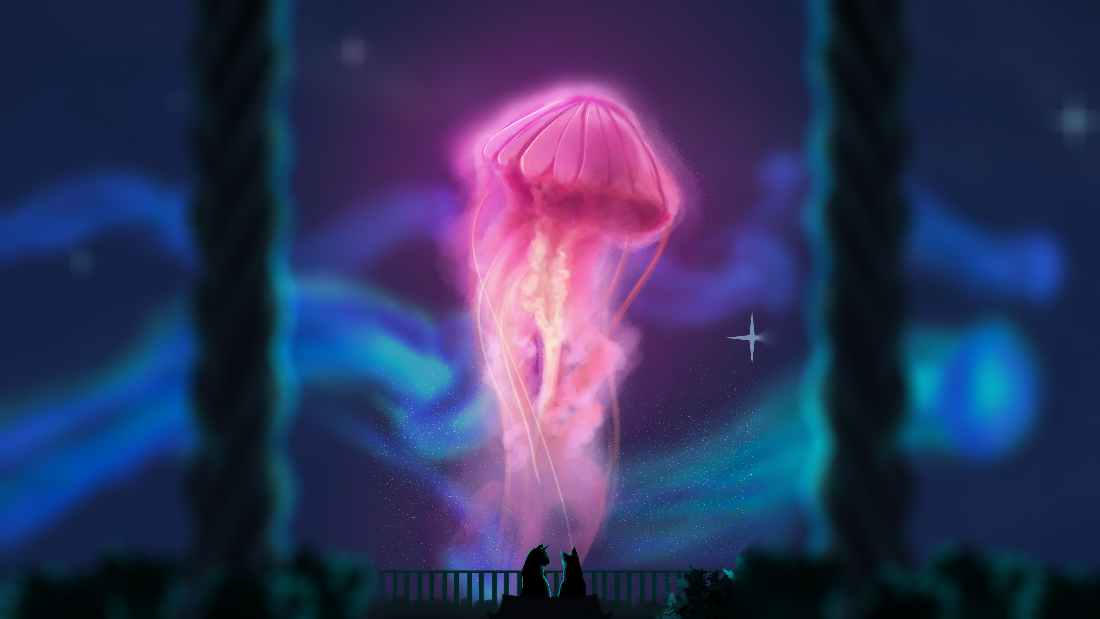 Jellyfish Aurorae Stars Cats 3840x2160