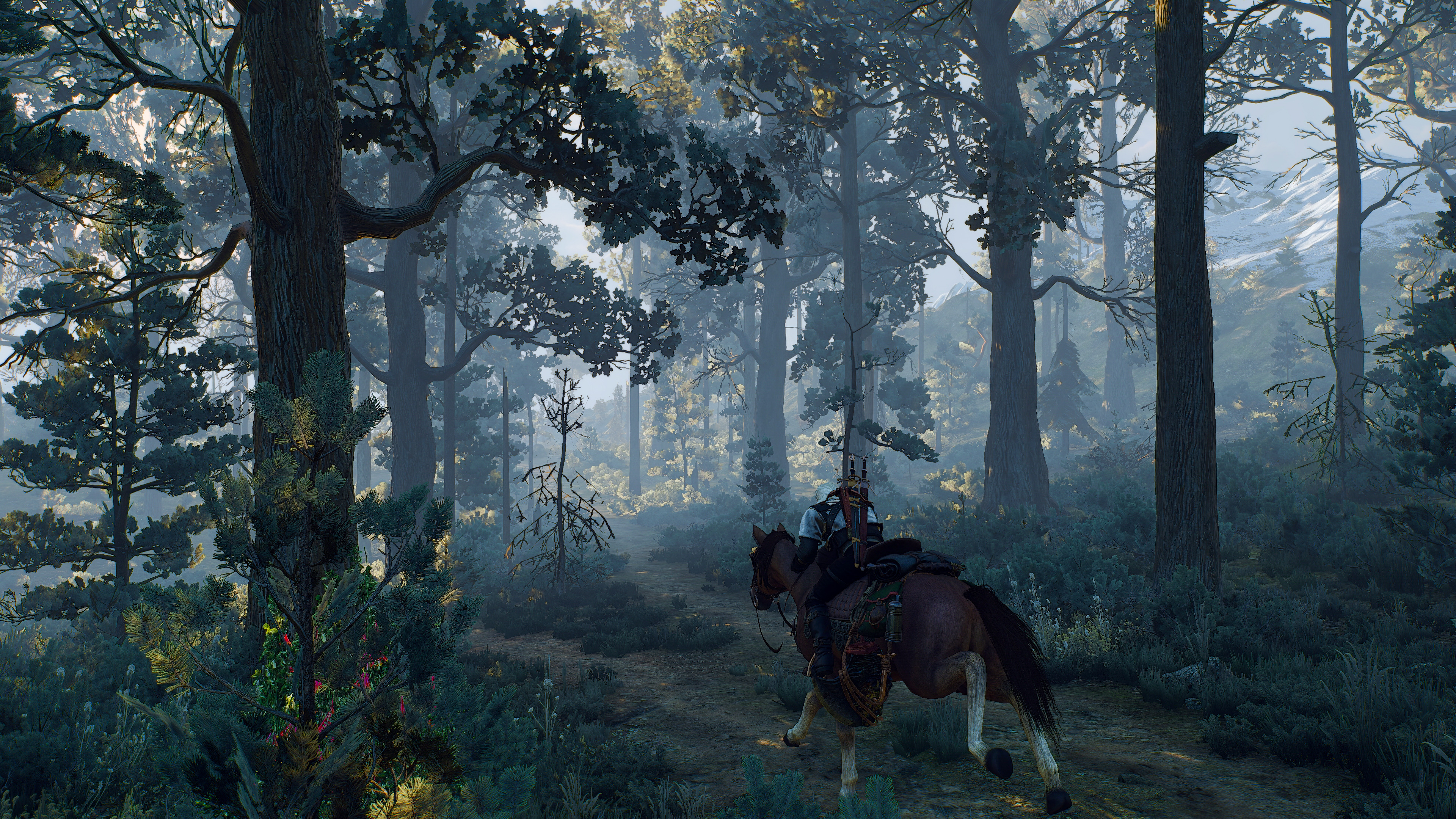 The Witcher 3 Wild Hunt Hearts Of Stone Geralt Of Rivia The Witcher 3 The Witcher 3 Wild Hunt Screen 3840x2160