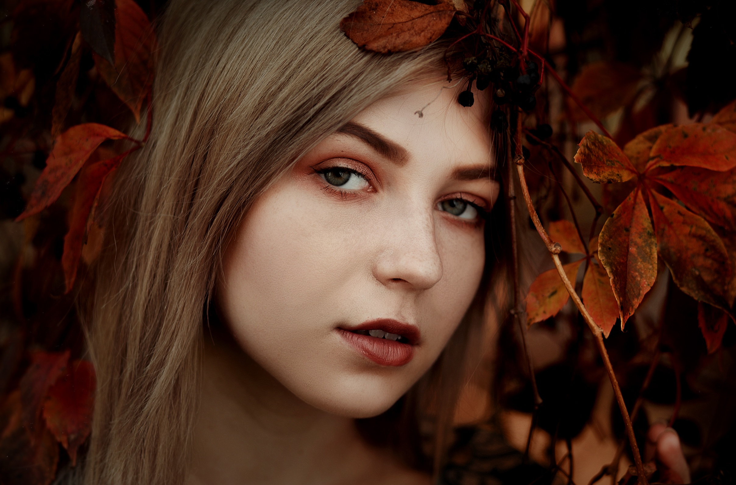 Women Model Face Closeup Looking At Viewer Leaves Fall Parted Lips Portrait 2416x1595