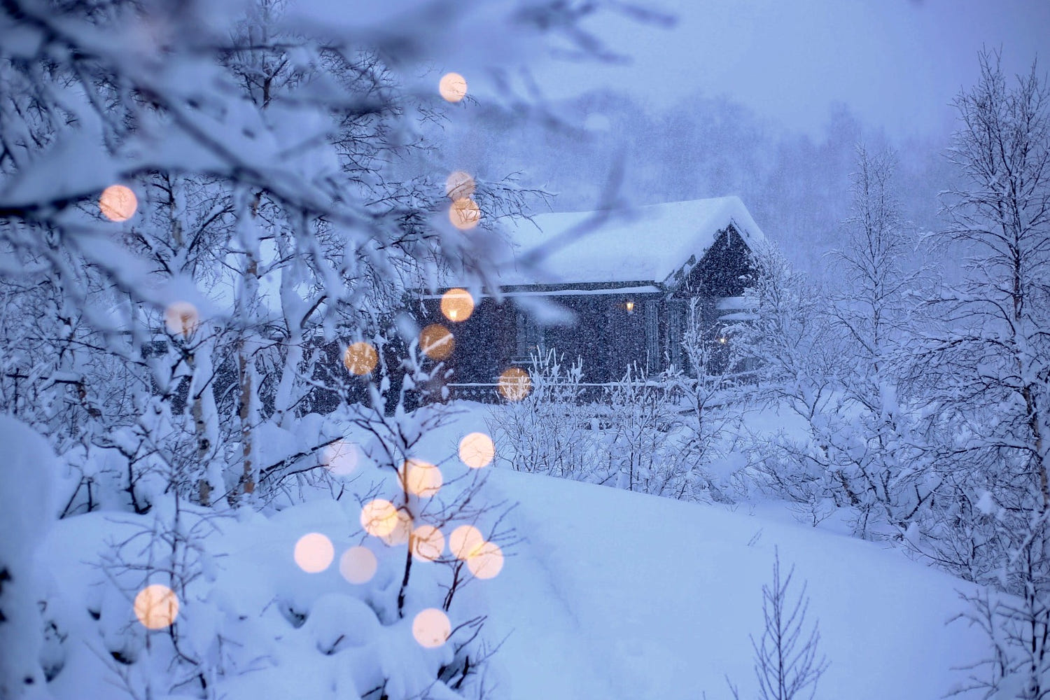 Winter Bokeh Snow Cottage Blue Forest 1500x1000