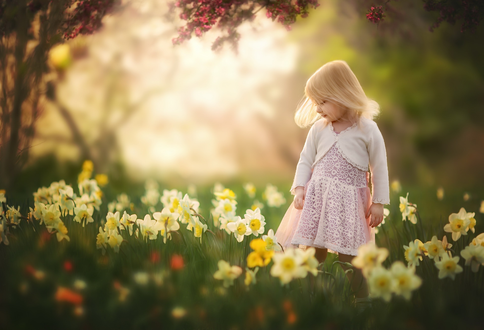 Blonde Daffodil Depth Of Field Flower Little Girl Summer 1920x1308
