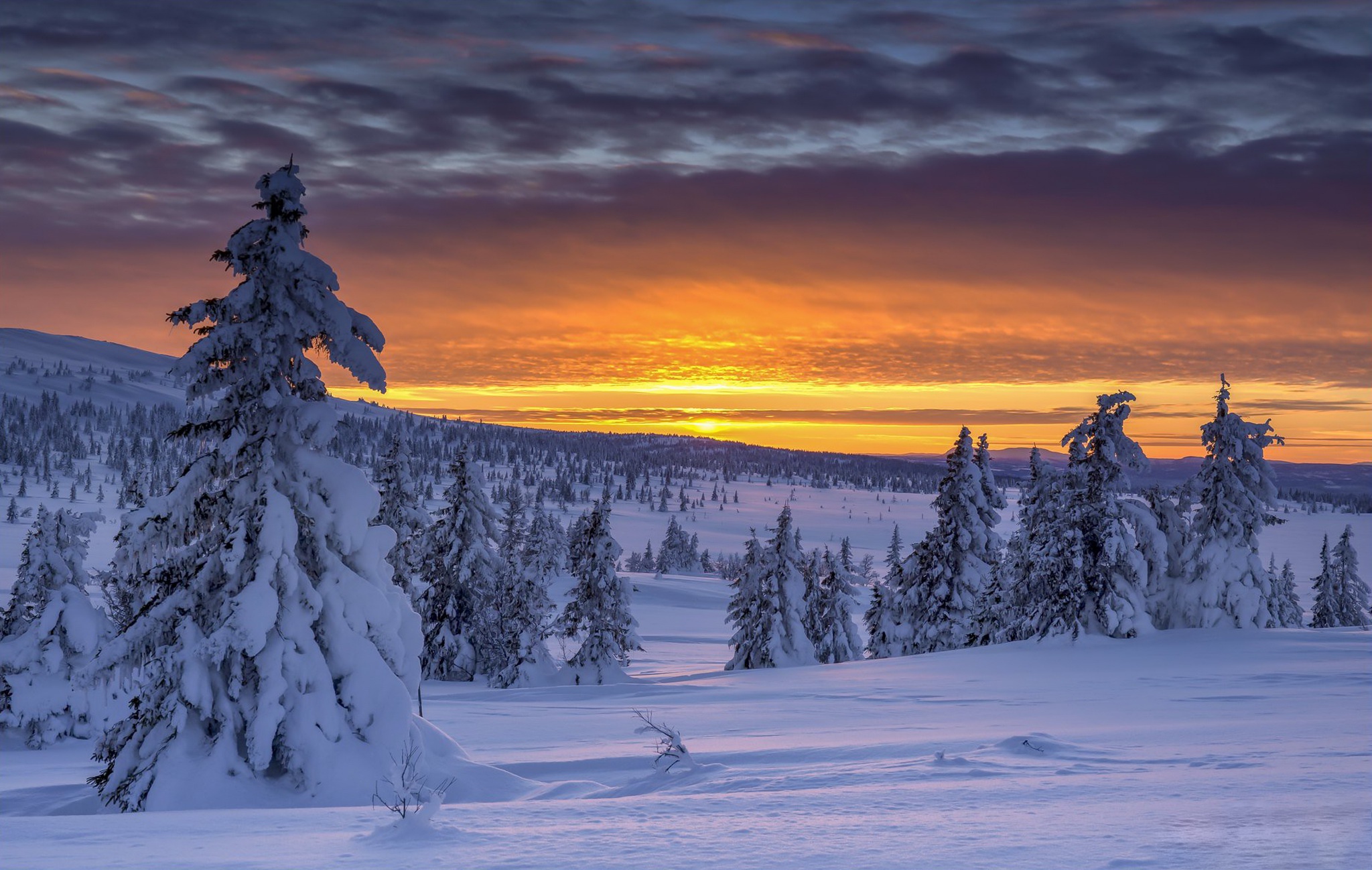 Landscape Nature Norway Snow Sunrise 2048x1298