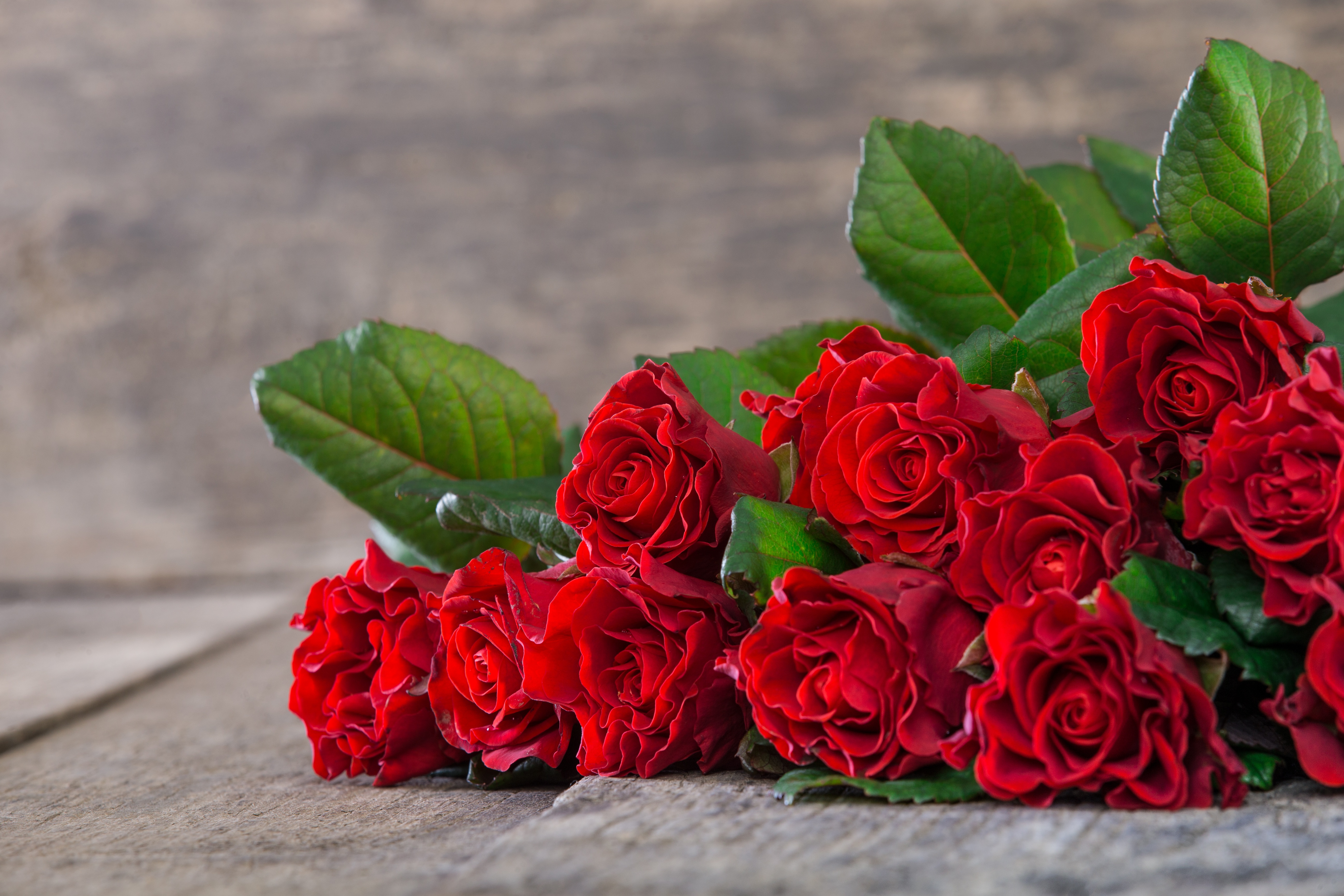 Bouquet Rose 5184x3456