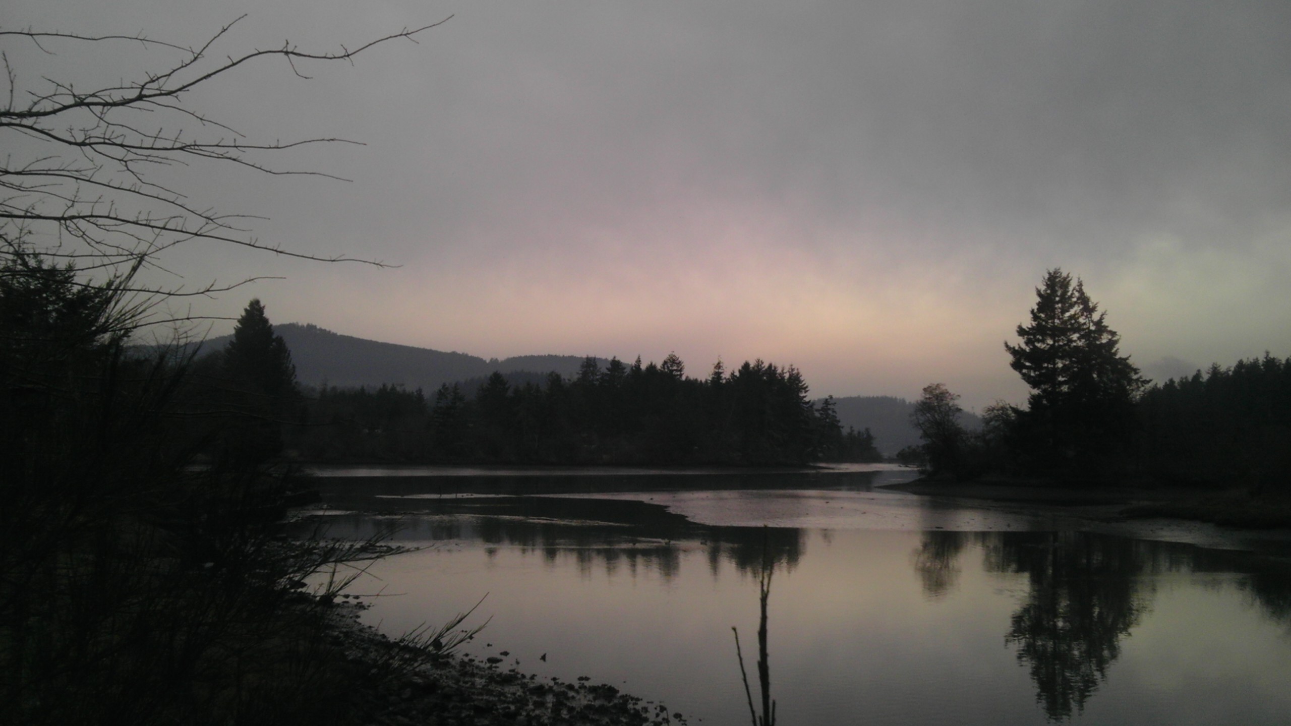 Landscape Dark Background Gloomy Mud Bay Olympia Thicket 2560x1440