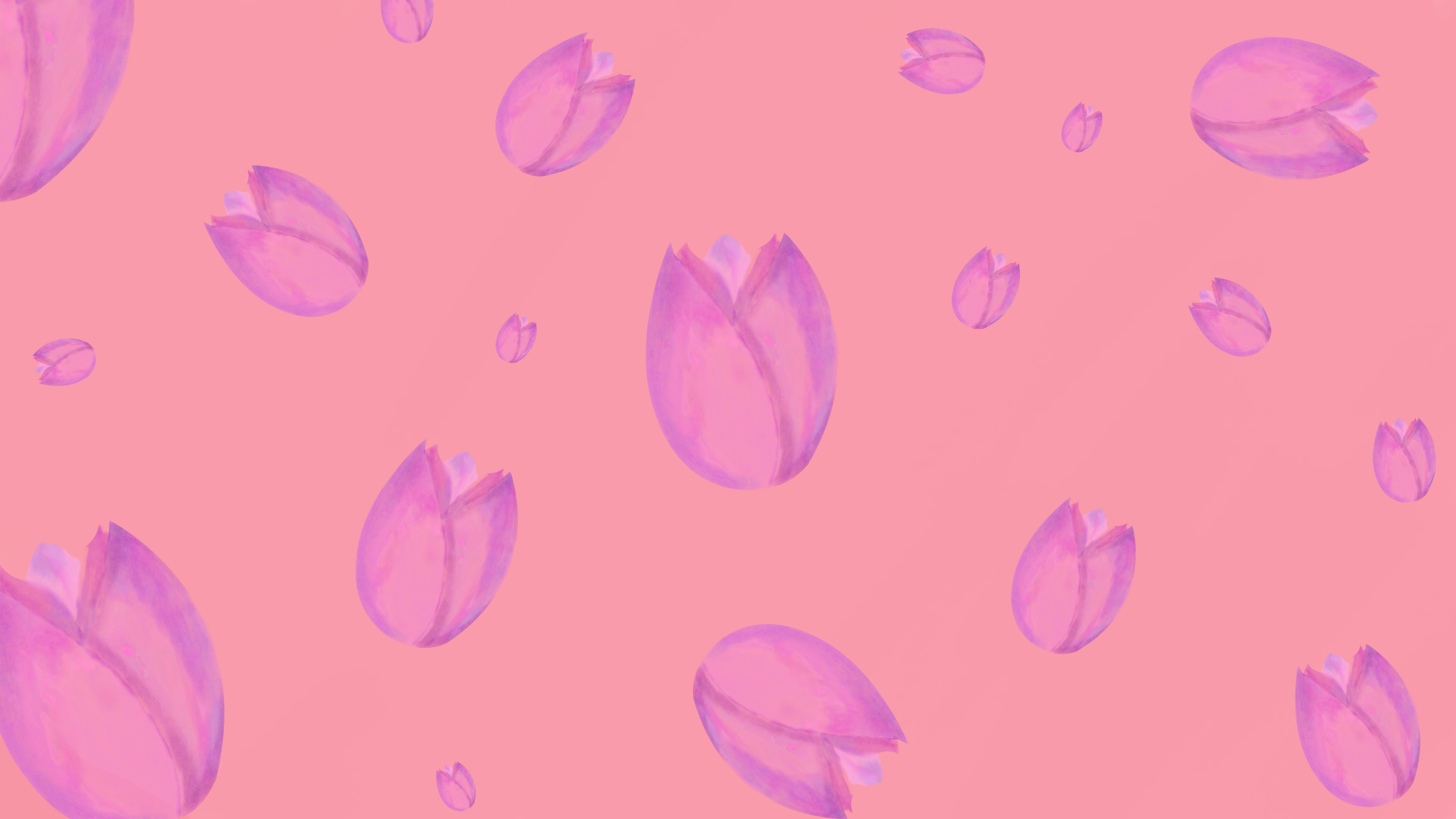 Pink Abstract Minimalist Tulip 3840x2160