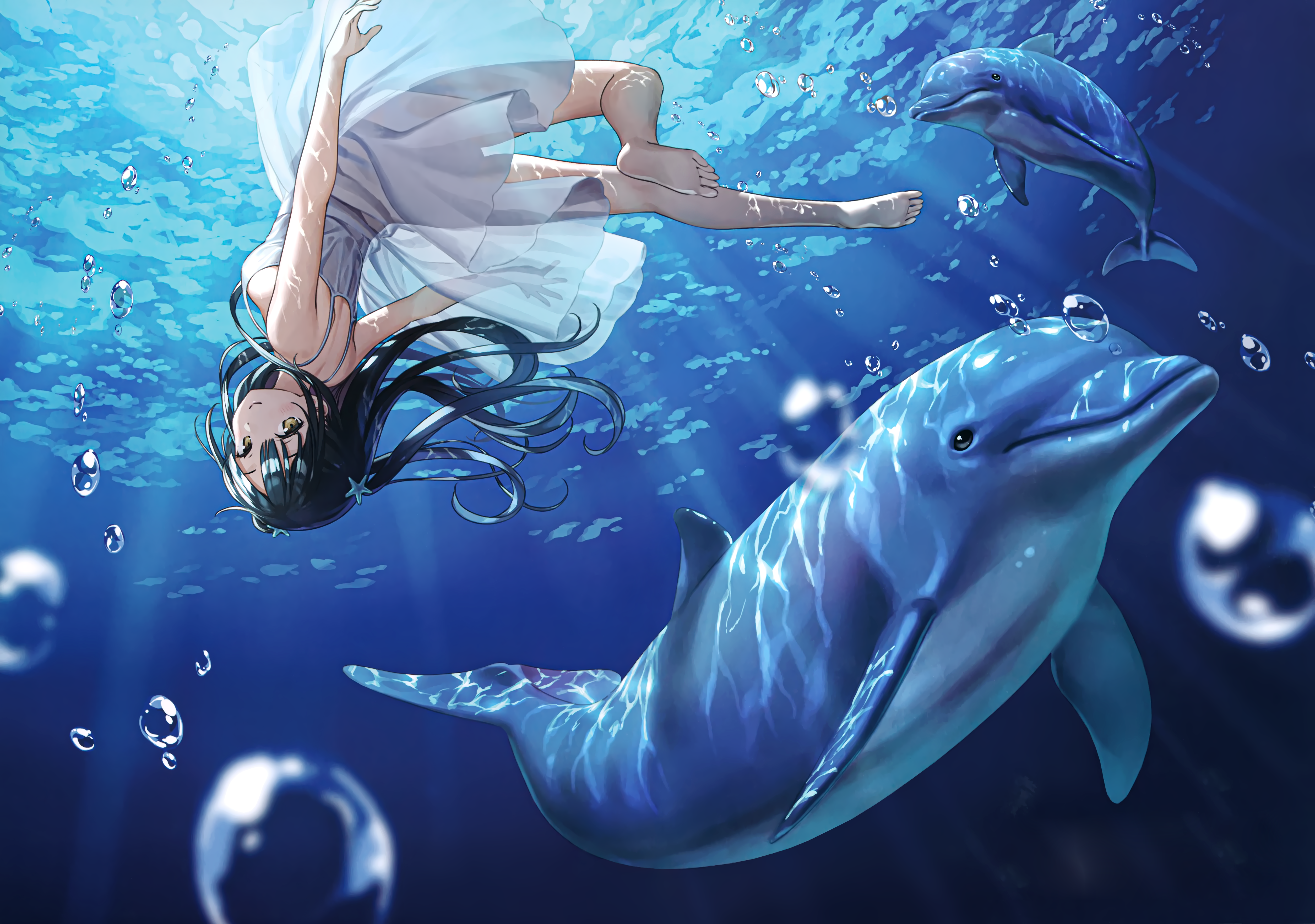 Dolphin Summer Dress Underwater Nagisa Kantoku 5018x3527