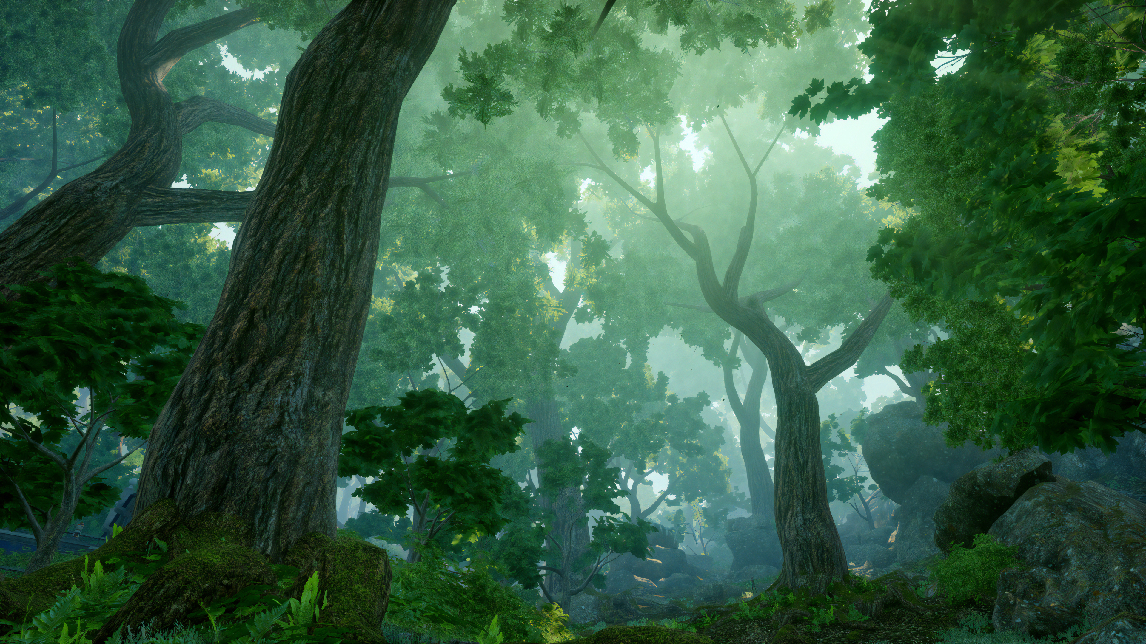 Dragon Age Inquisition RPG Trees Video Games 3840x2160