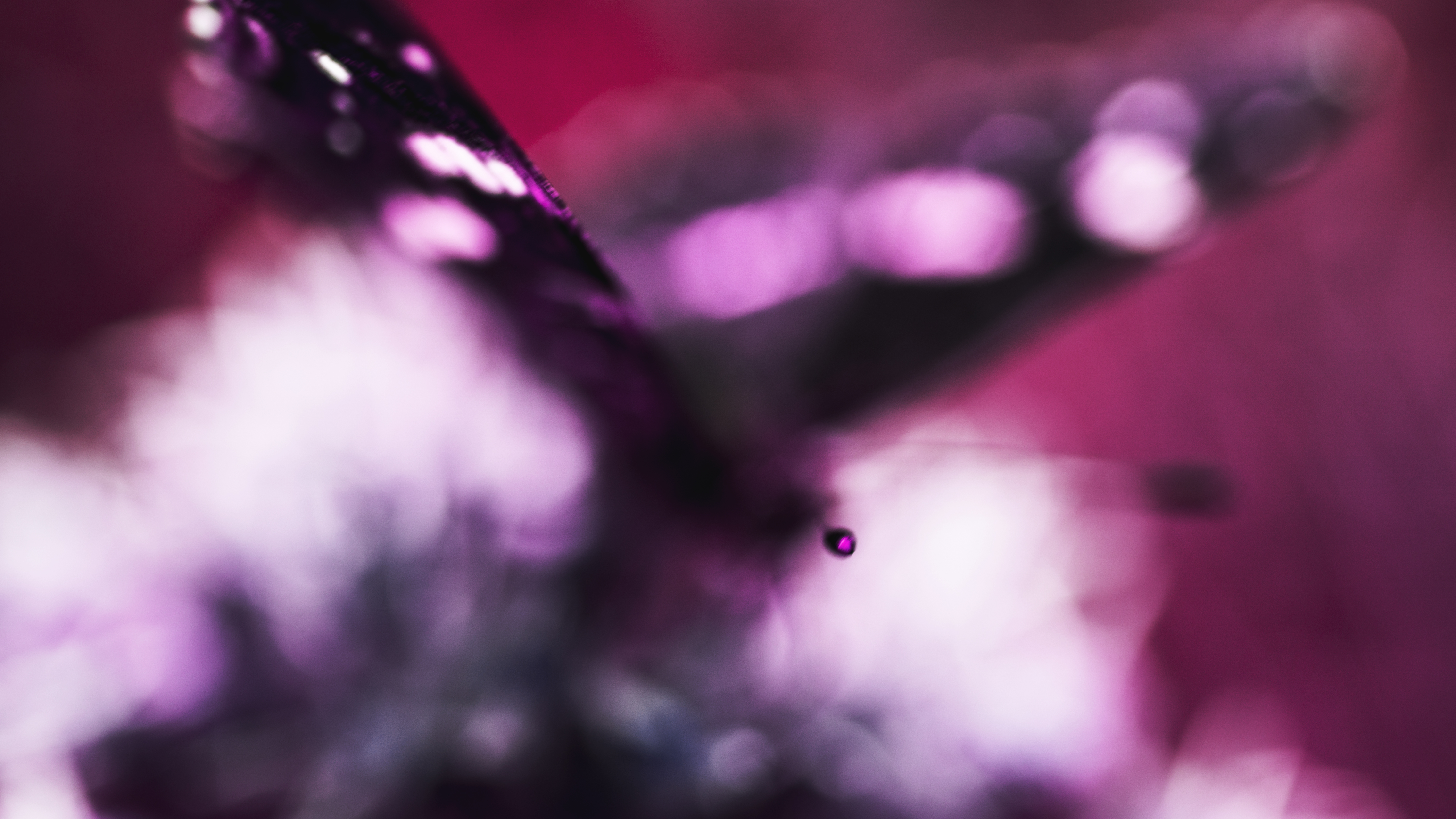 Abstract Butterfly Blurred 6000x3376